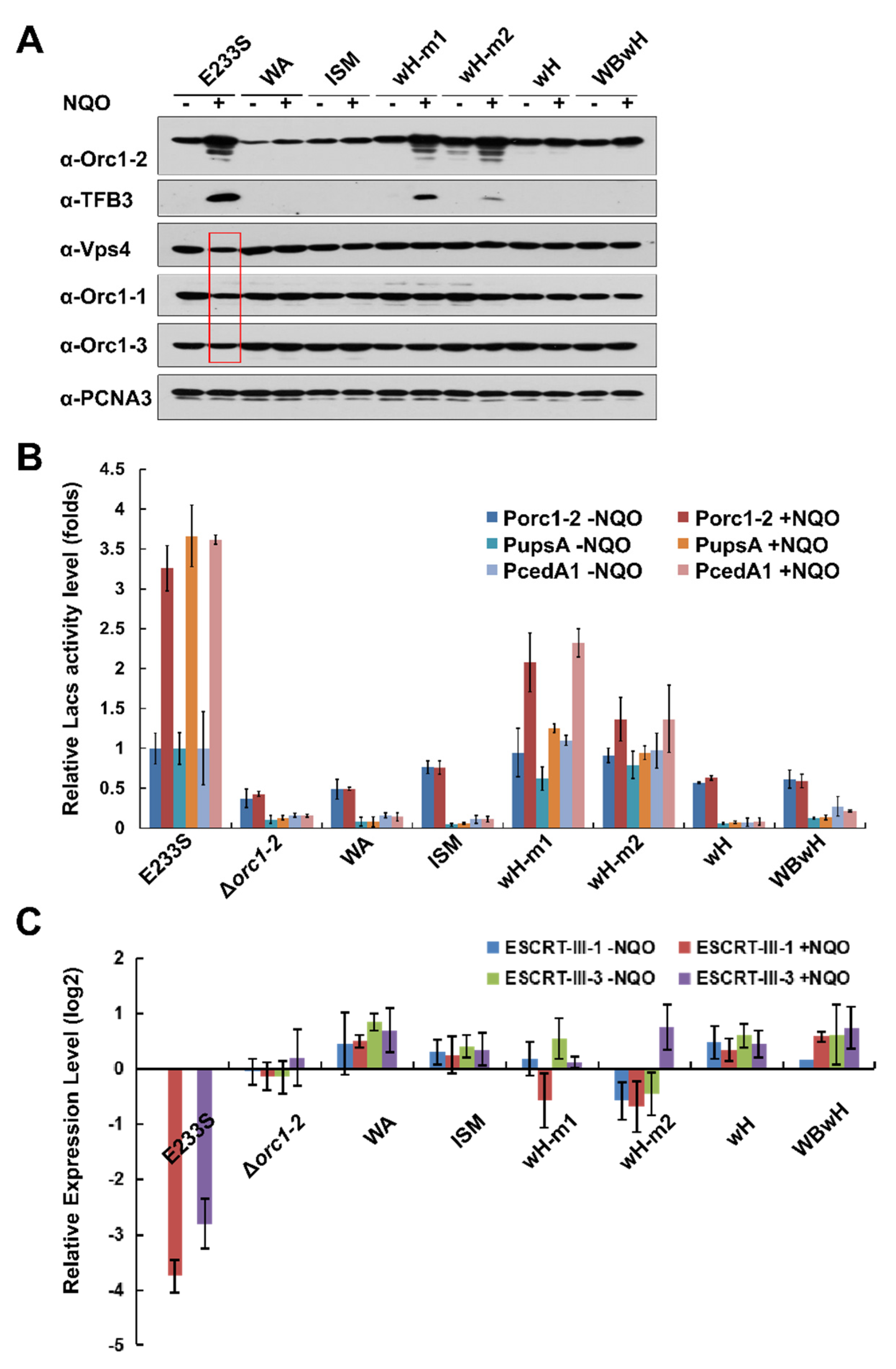 Ijms 23 14609 g002 Ijms 23 14609 g002