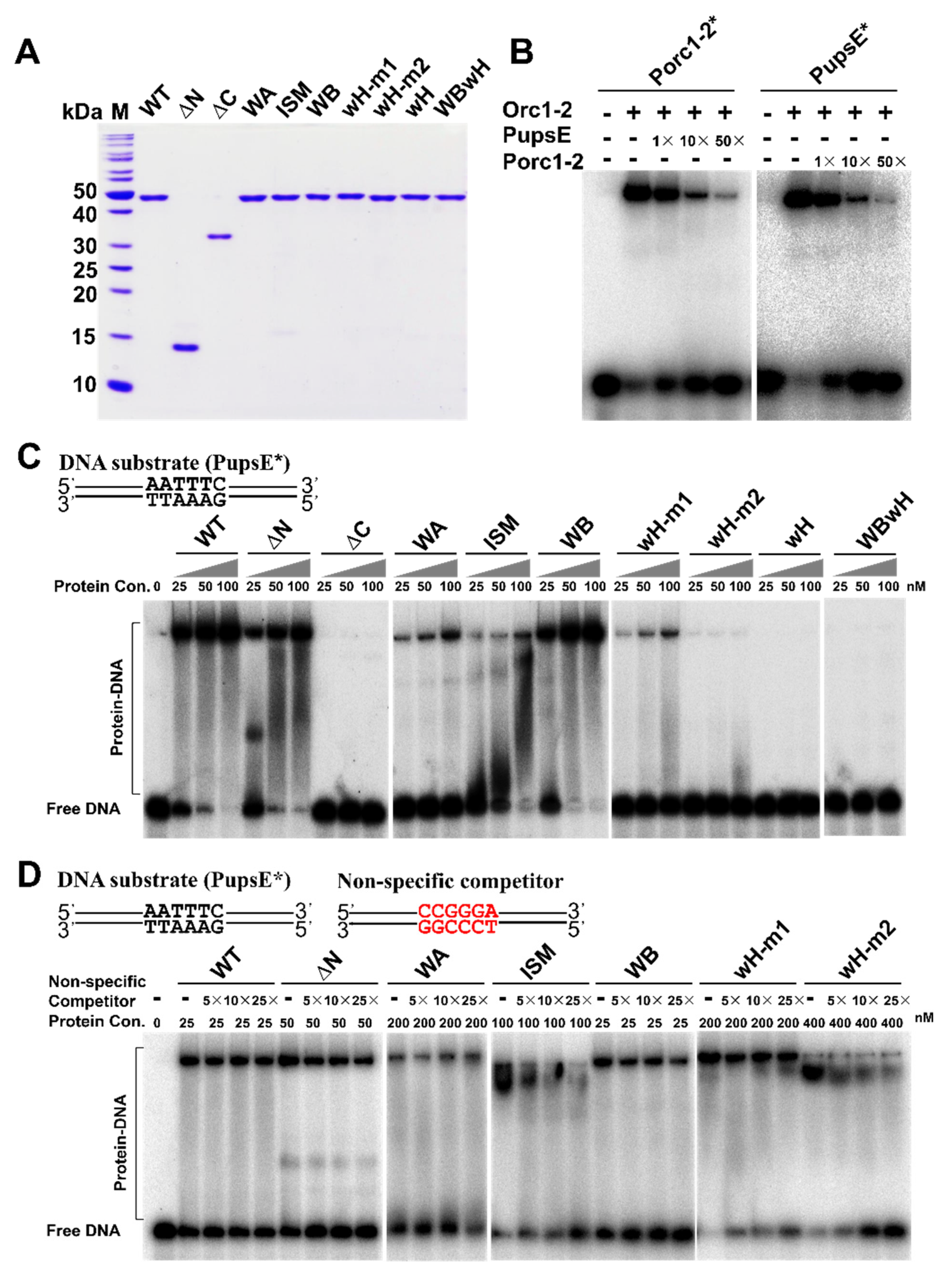 Ijms 23 14609 g003 Ijms 23 14609 g003