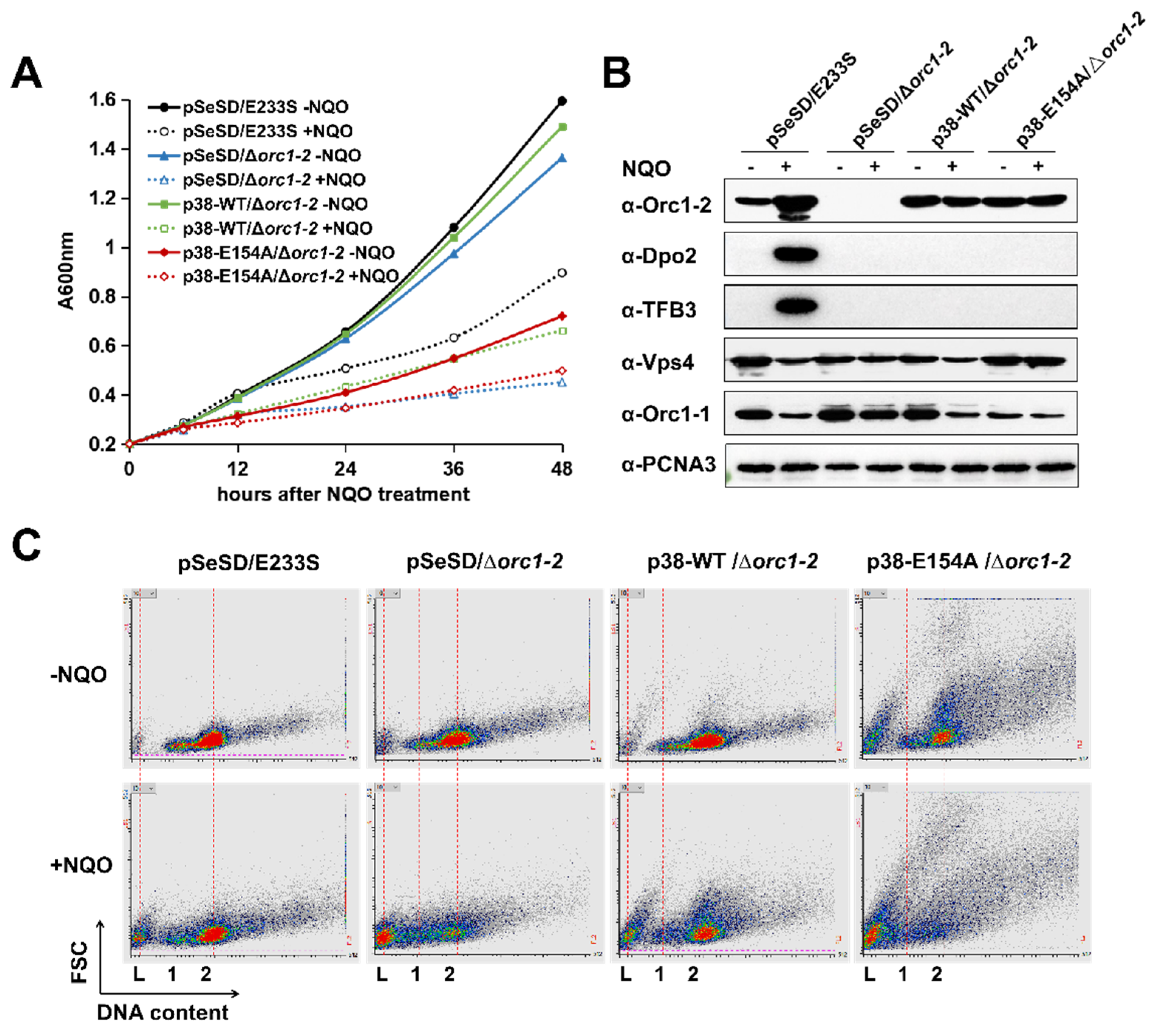 Ijms 23 14609 g004 Ijms 23 14609 g004