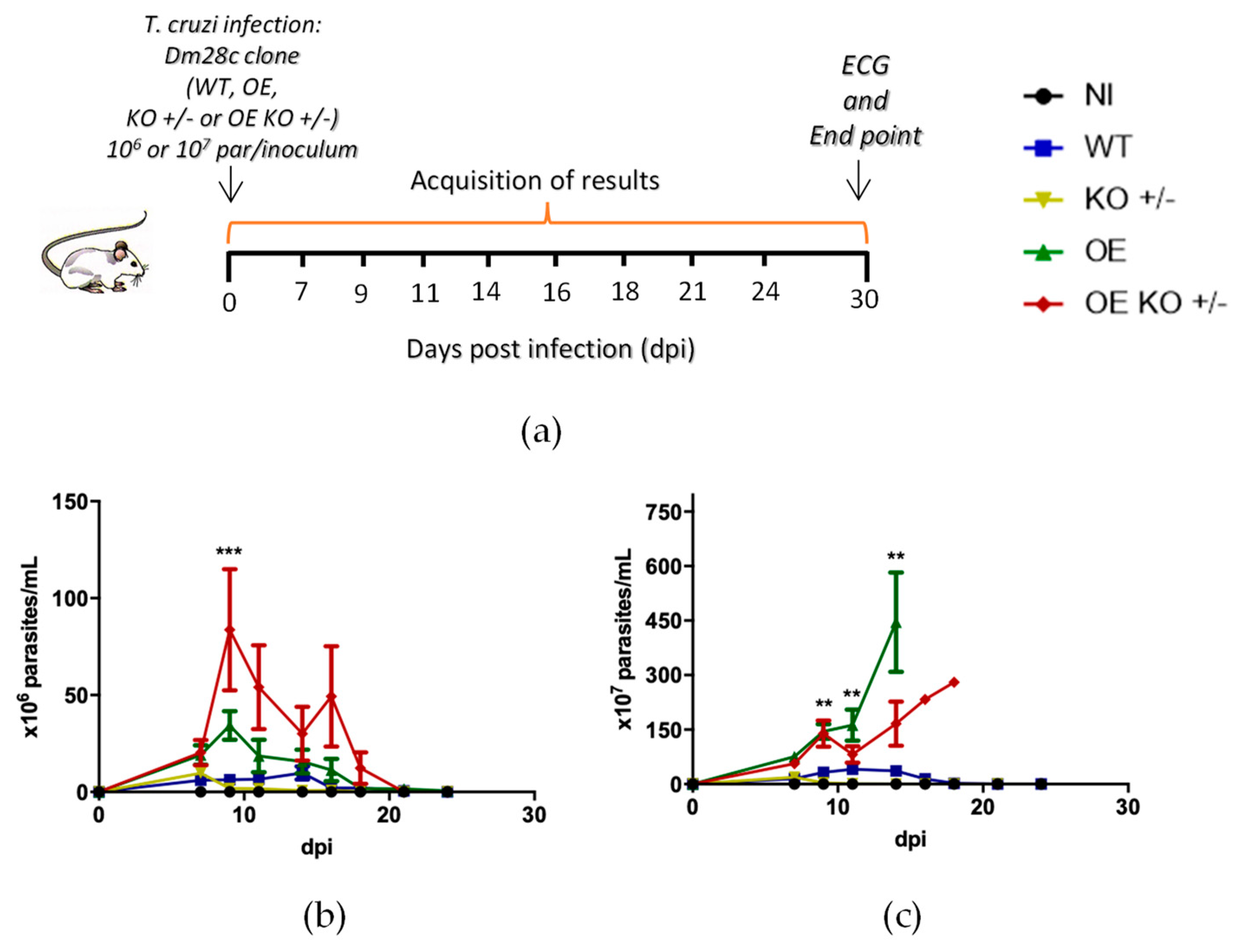Ijms 23 14661 g001 Ijms 23 14661 g001