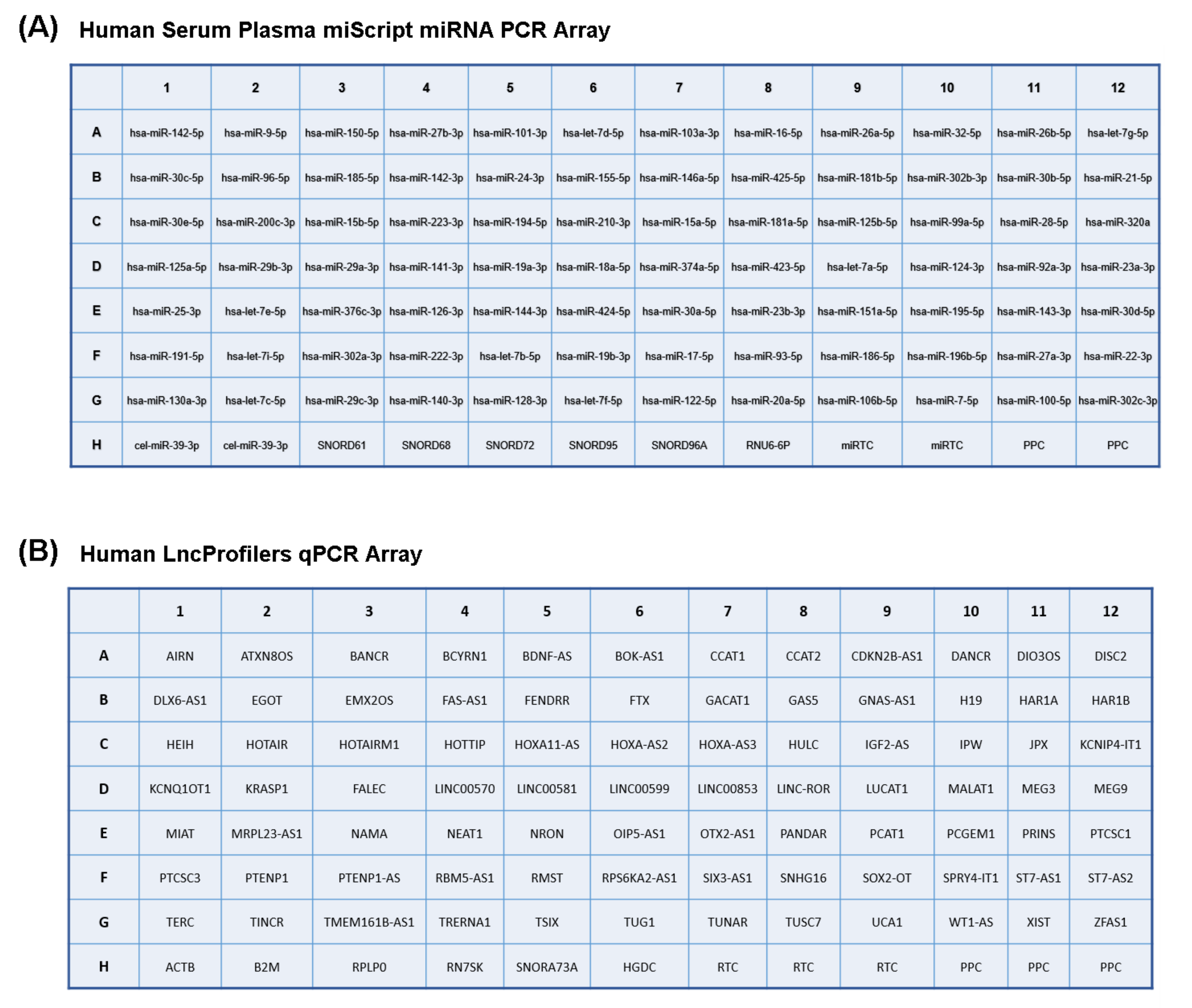 Ijms 23 14723 g006 Ijms 23 14723 g006