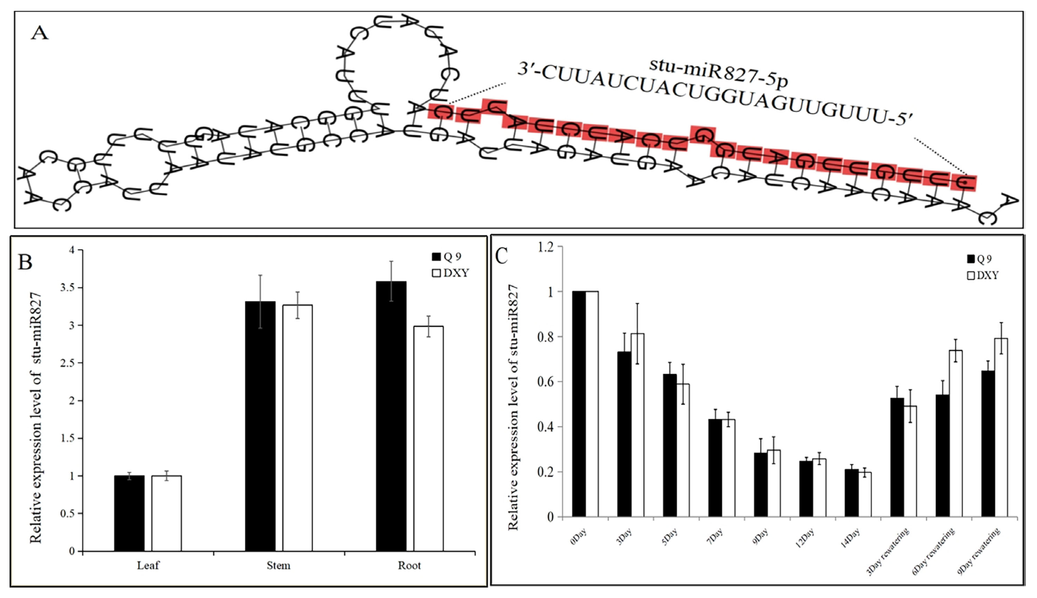 Ijms 23 14805 g001 Ijms 23 14805 g001