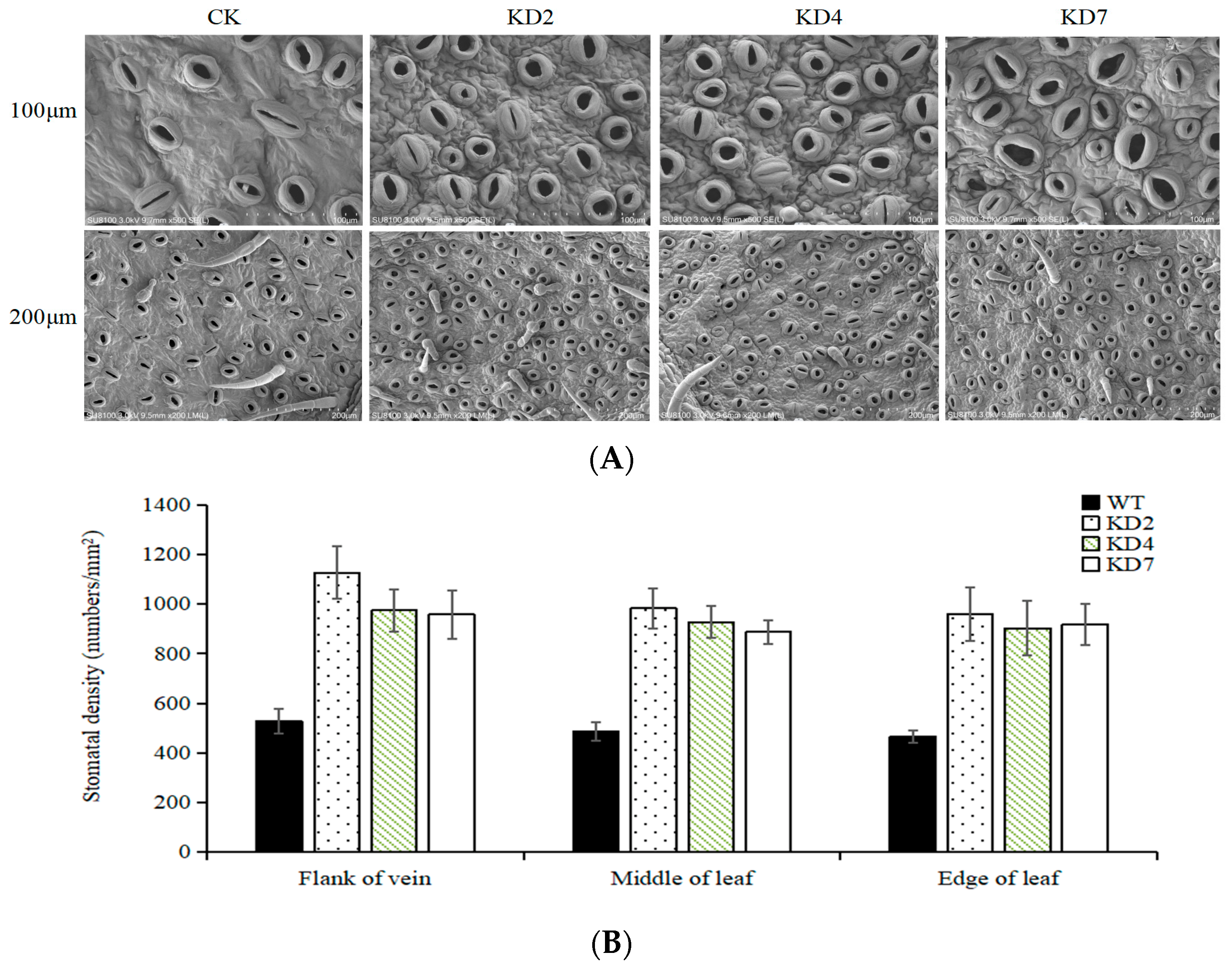 Ijms 23 14805 g003 Ijms 23 14805 g003
