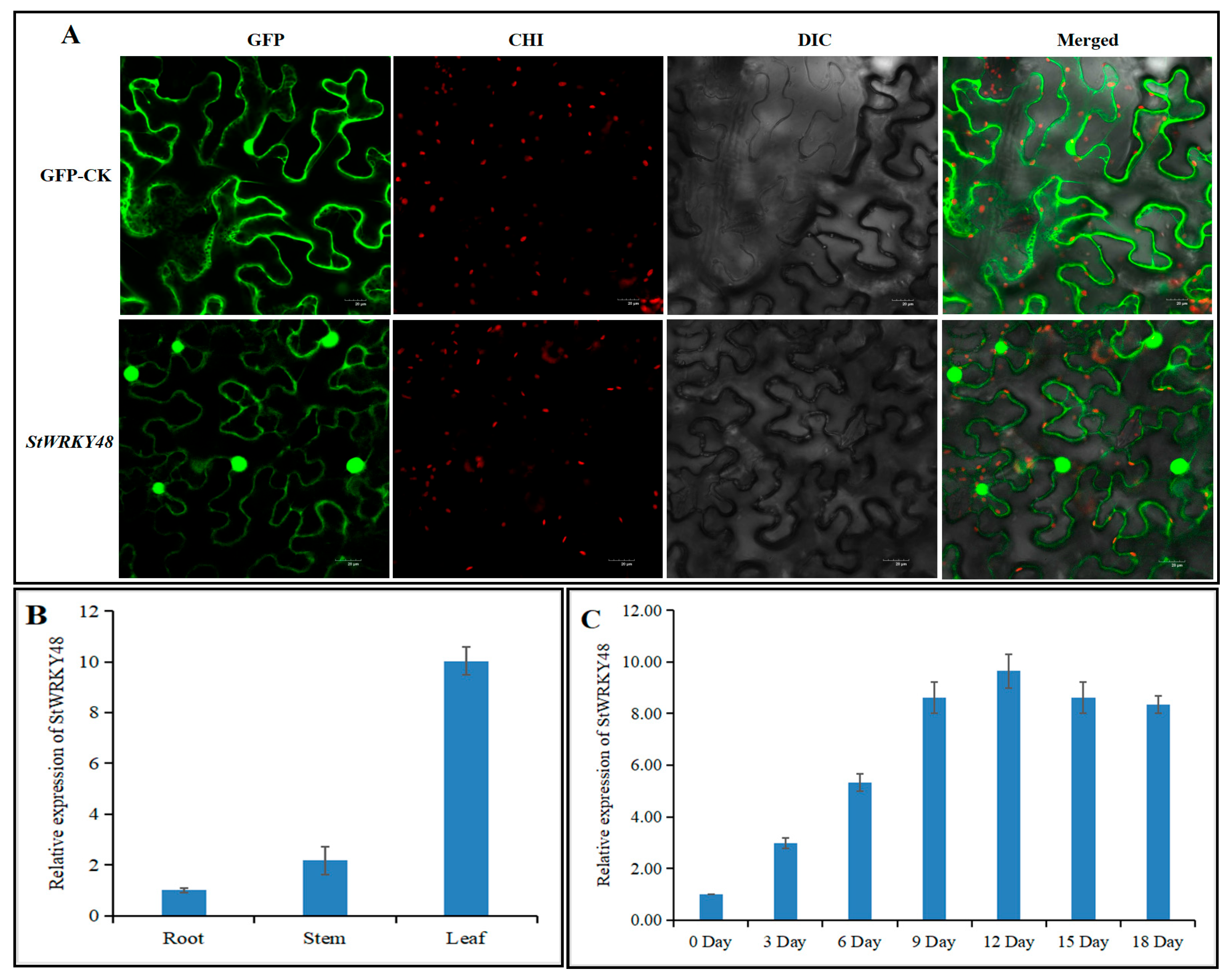 Ijms 23 14805 g007 Ijms 23 14805 g007
