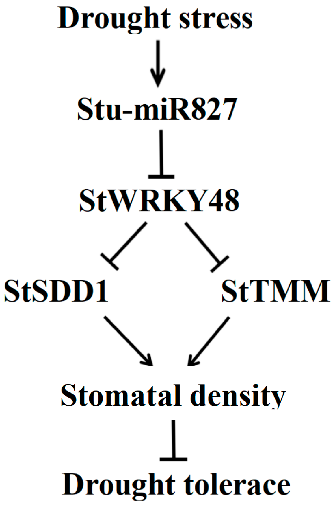 Ijms 23 14805 g010 Ijms 23 14805 g010