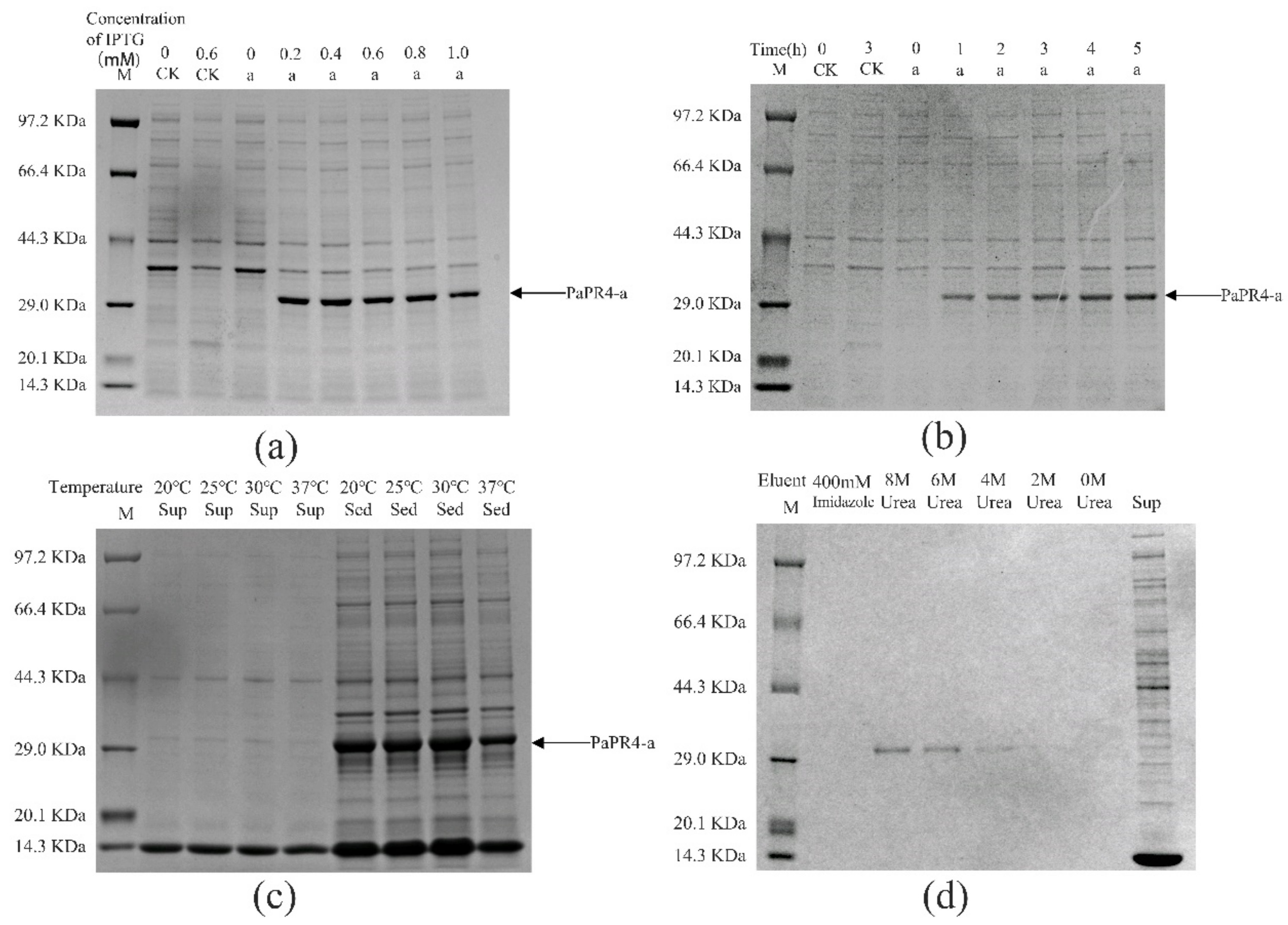 Ijms 23 14906 g004 Ijms 23 14906 g004