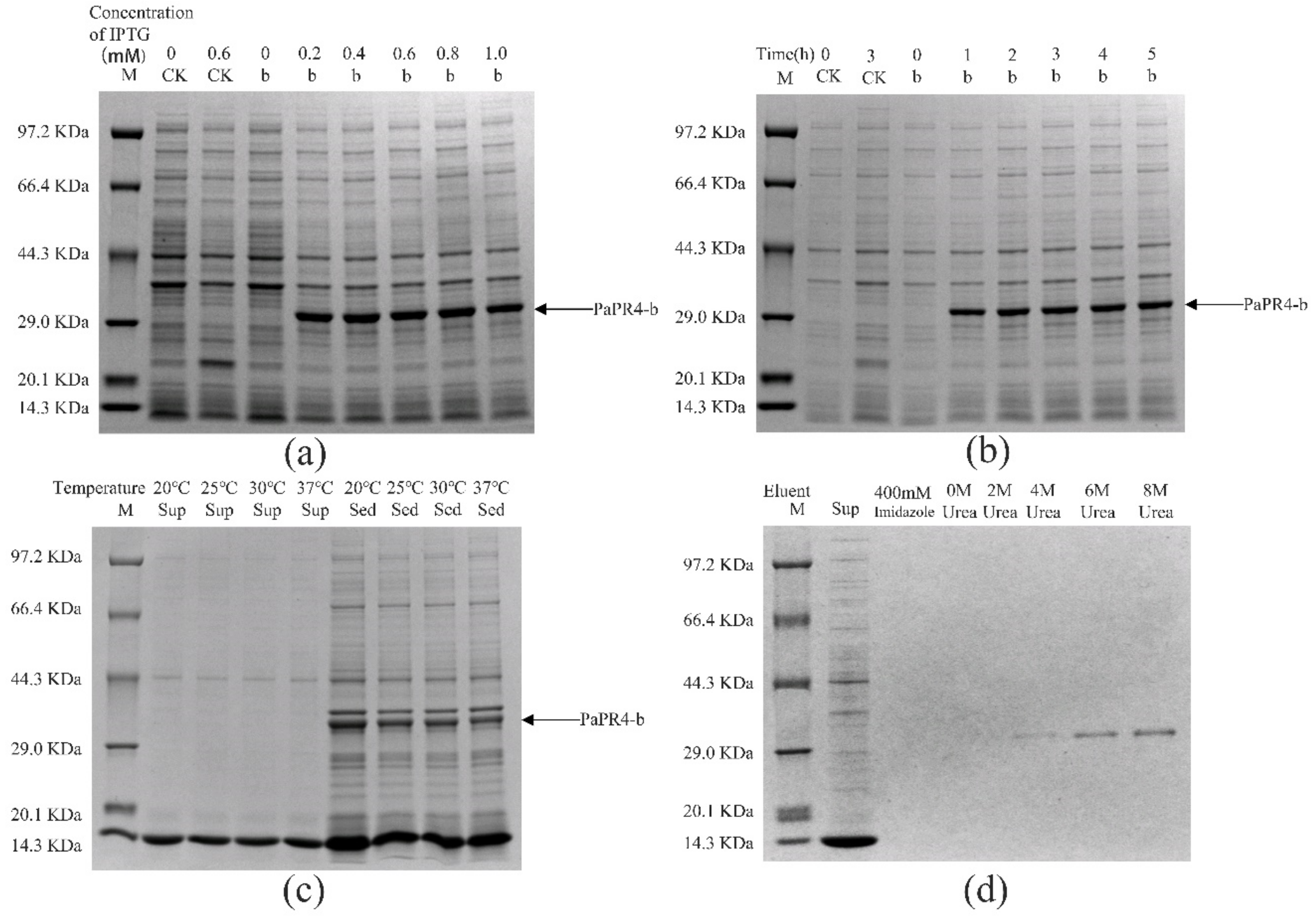 Ijms 23 14906 g005 Ijms 23 14906 g005