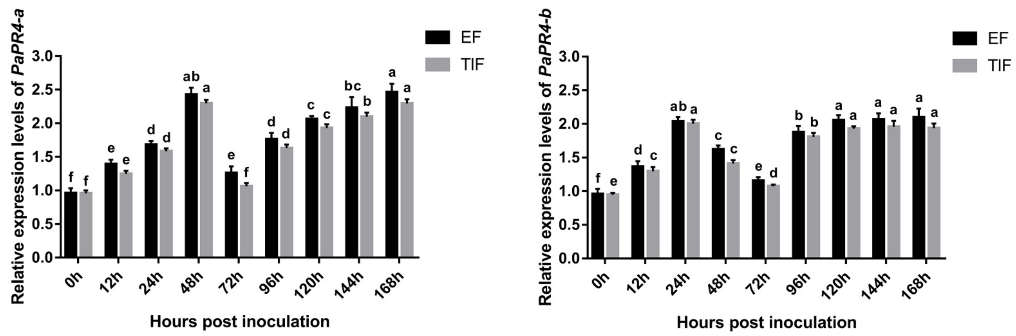 Ijms 23 14906 g008 Ijms 23 14906 g008