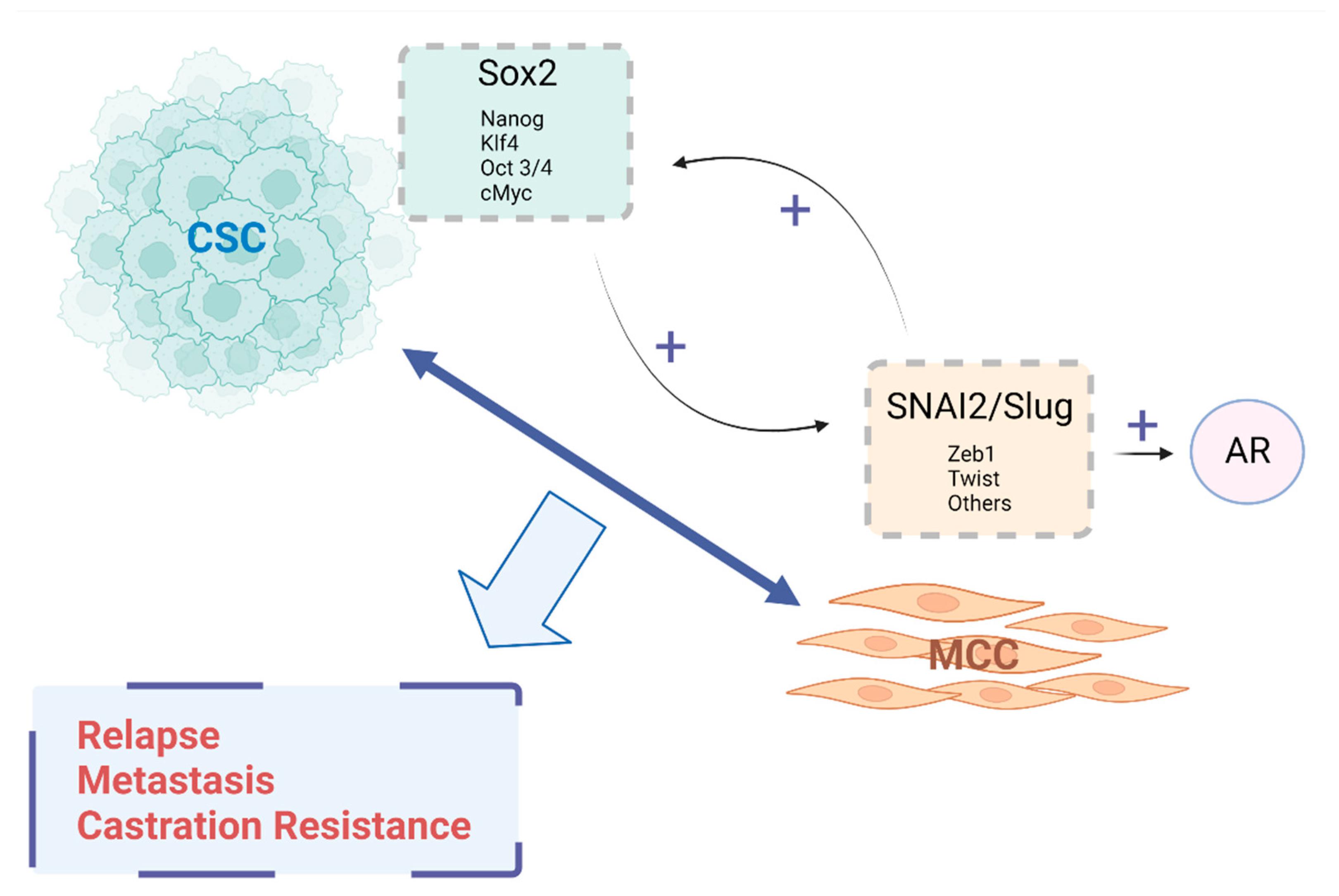 Ijms 23 14917 g002 Ijms 23 14917 g002