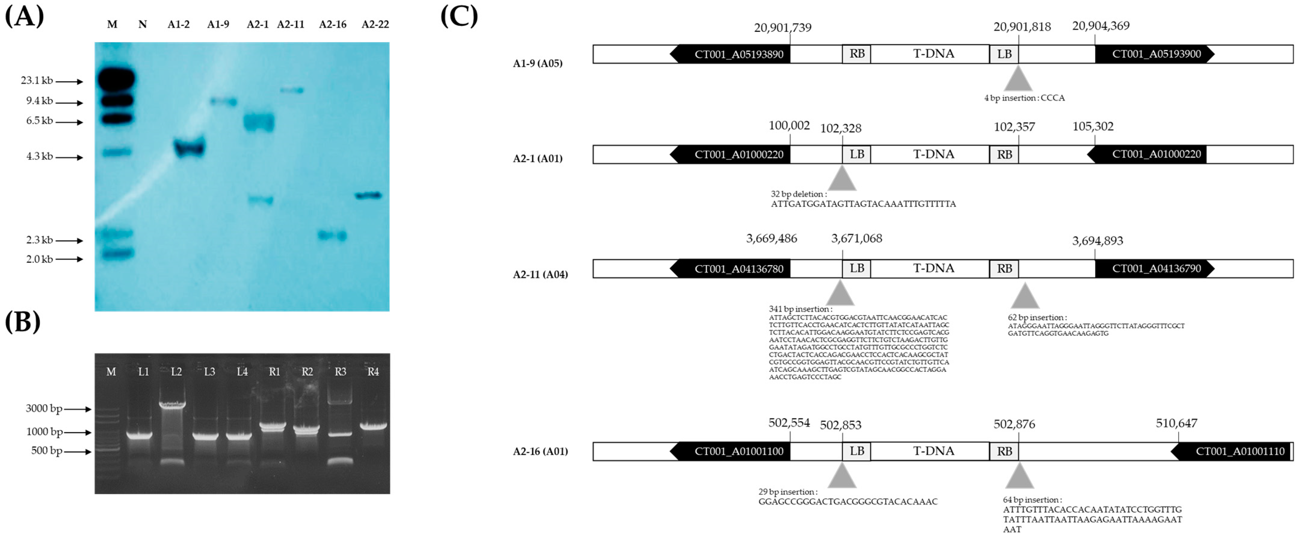 Ijms 23 15009 g006 Ijms 23 15009 g006