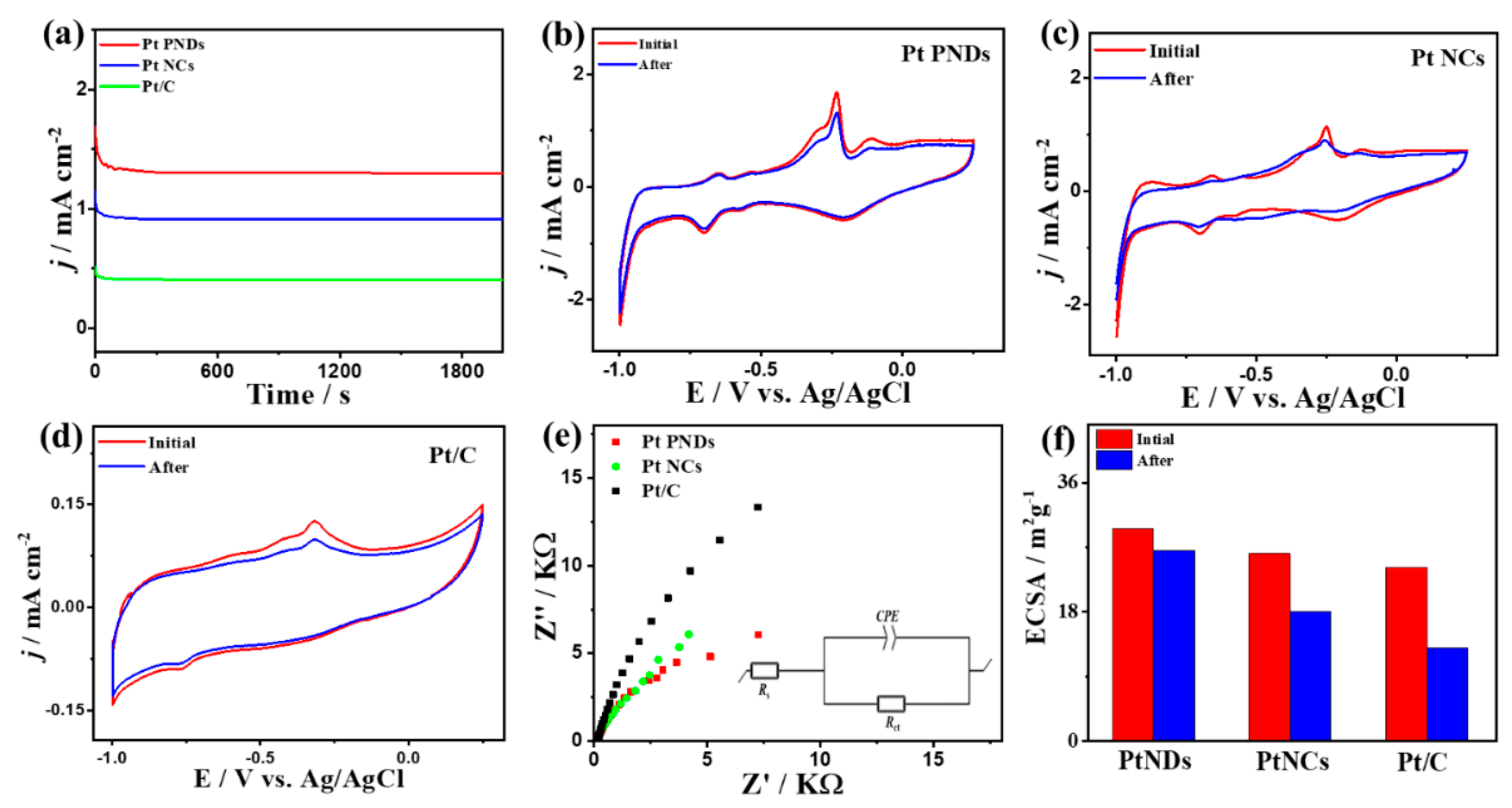 Ijms 23 15034 g006 Ijms 23 15034 g006