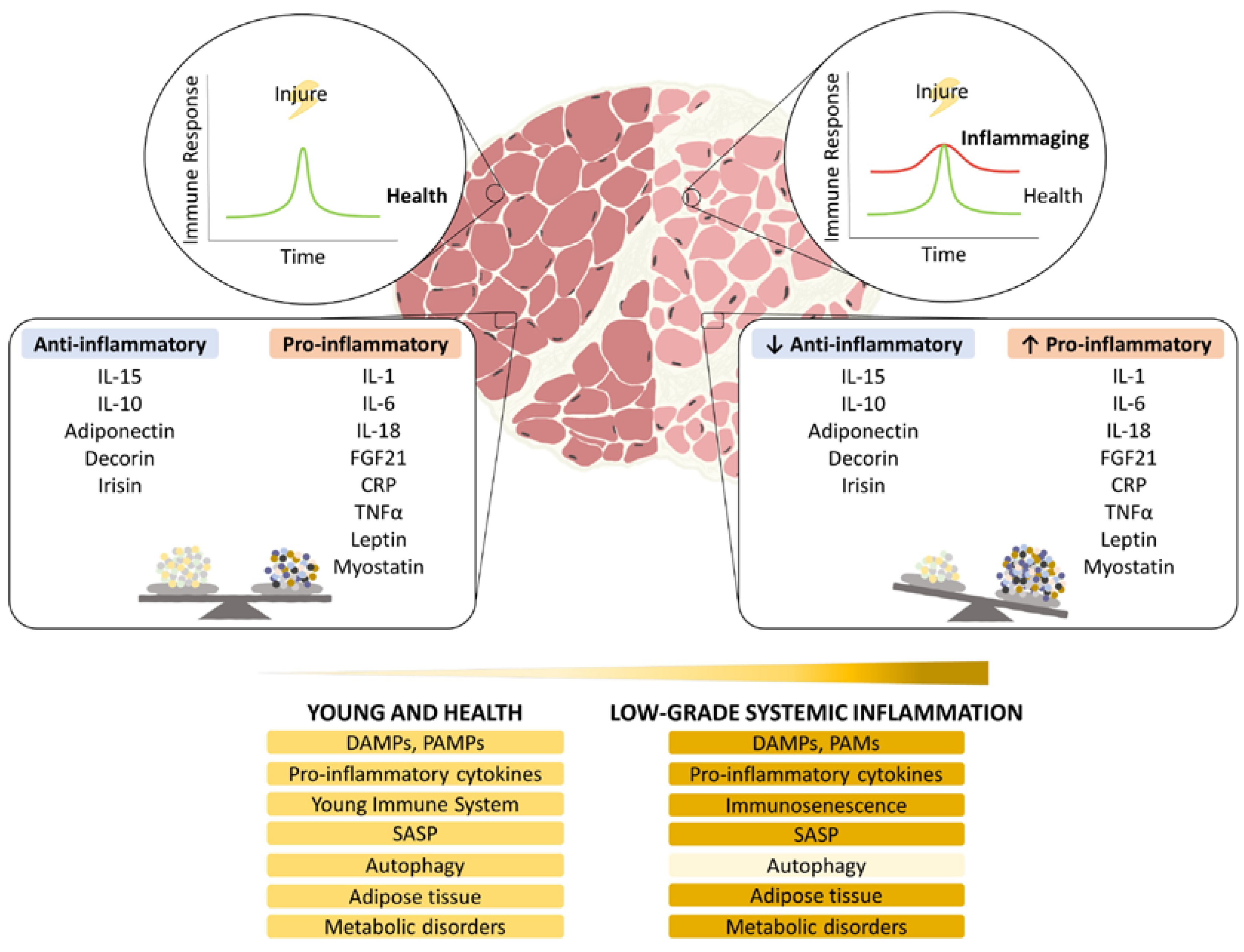 Ijms 23 15039 g001 Ijms 23 15039 g001