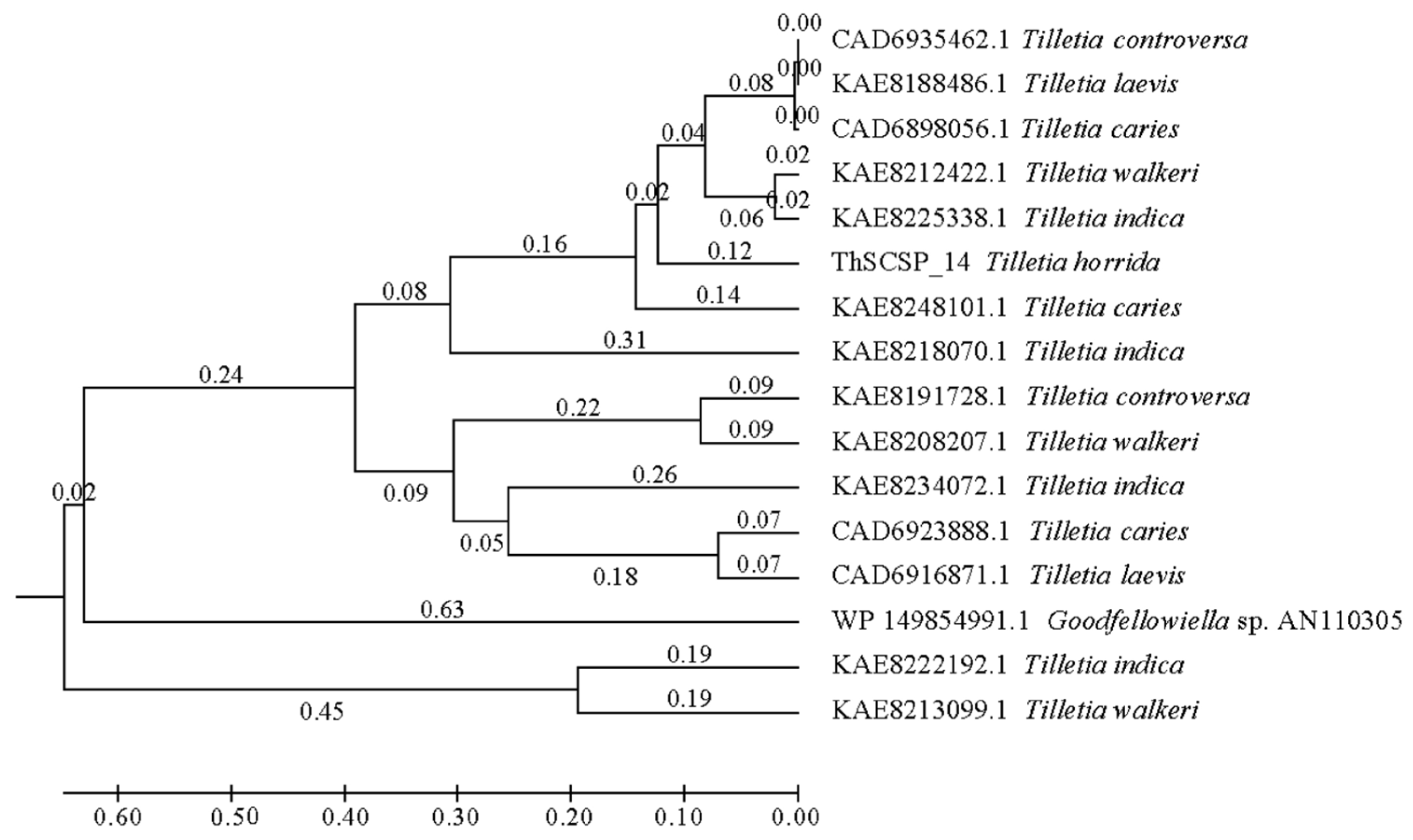 Ijms 23 15042 g002