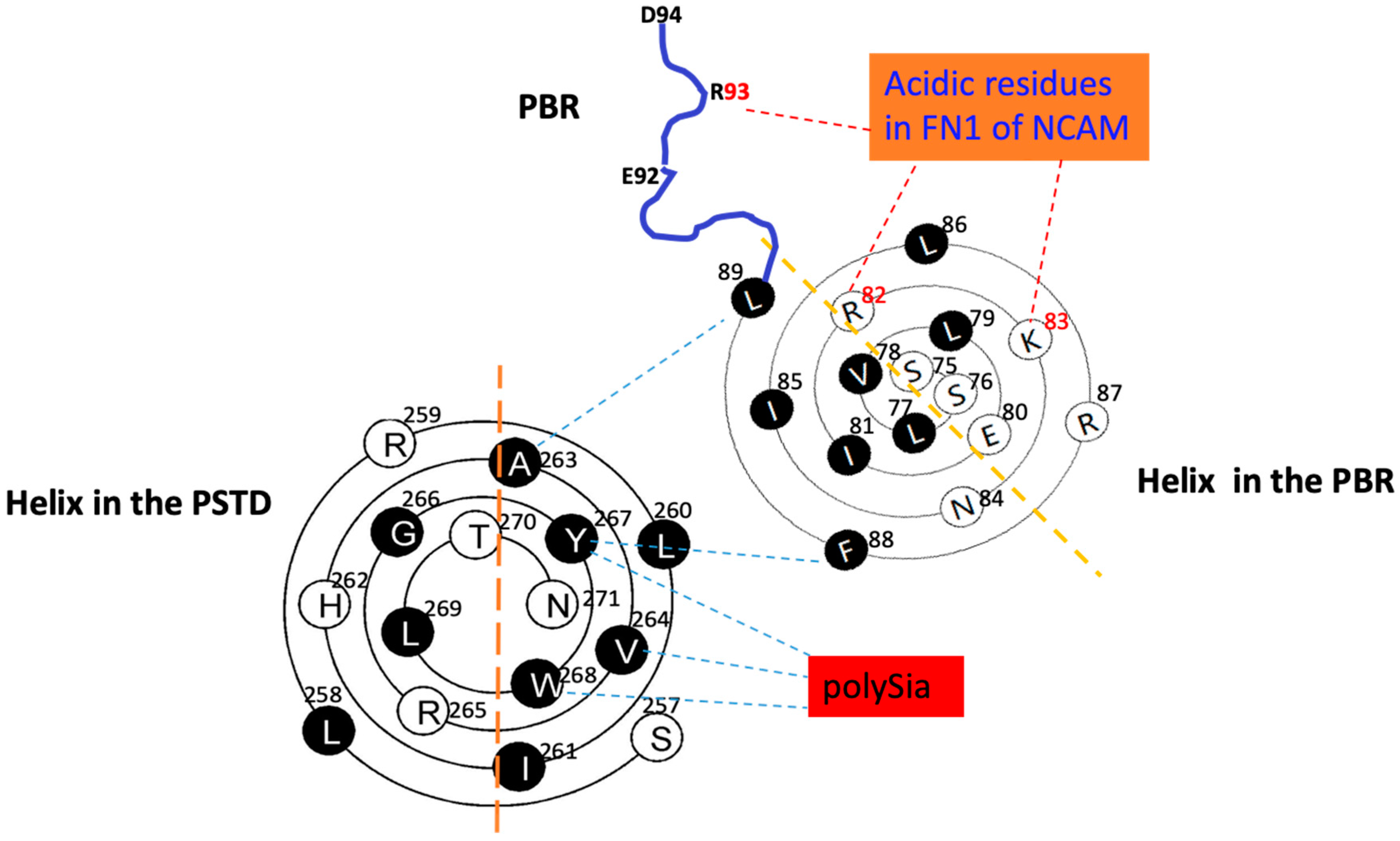 Ijms 23 15128 g004 Ijms 23 15128 g004