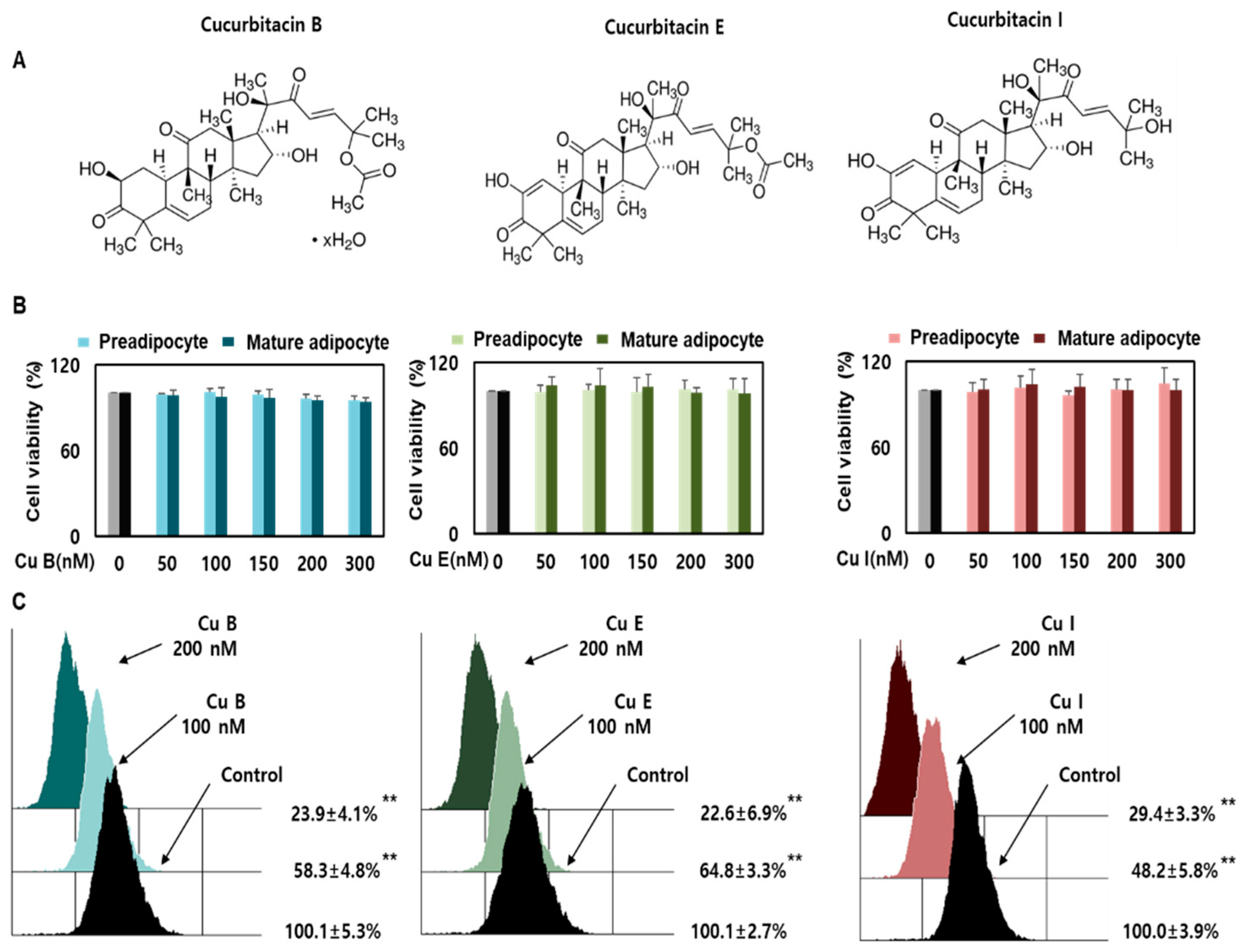 Ijms 23 15362 g001 Ijms 23 15362 g001