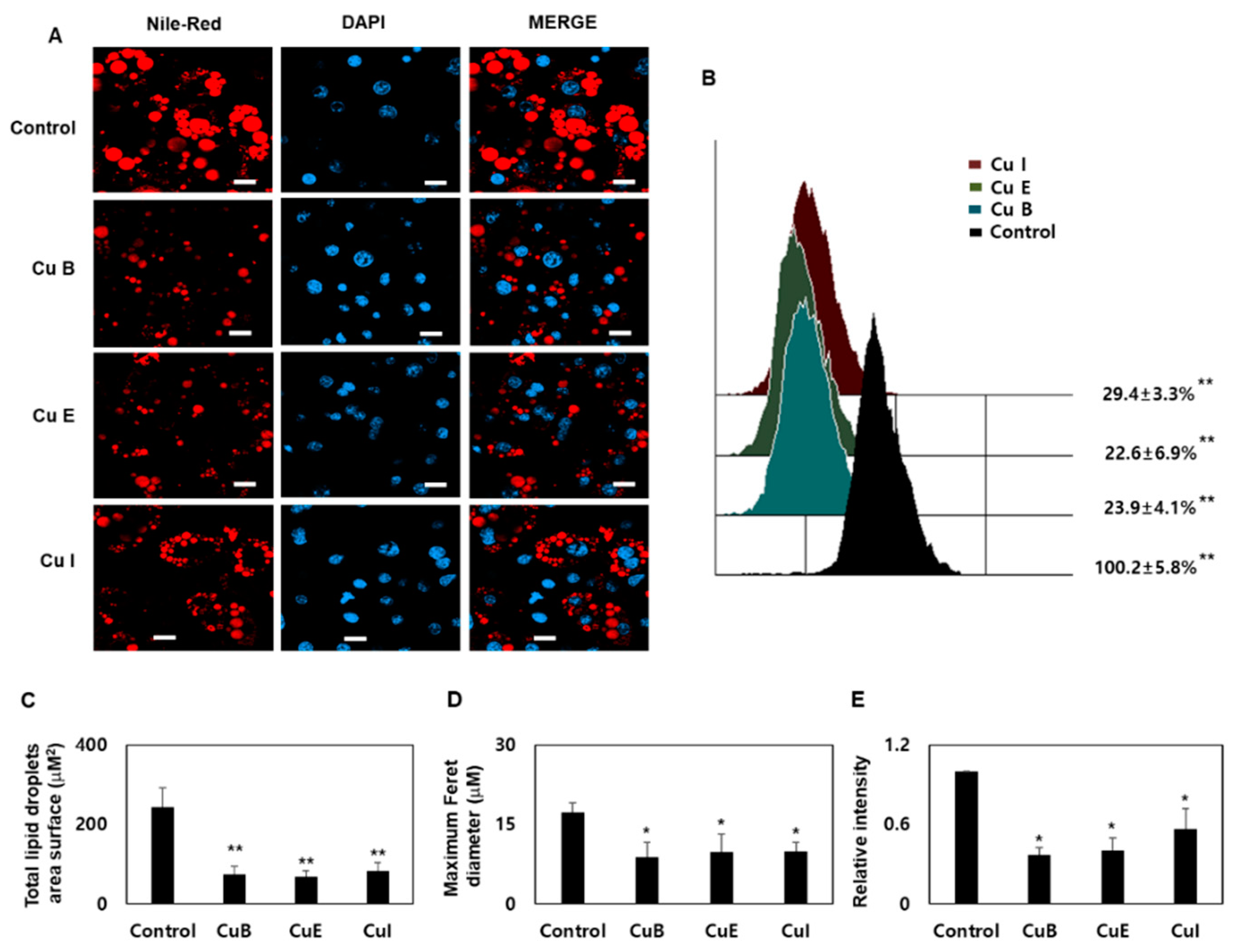 Ijms 23 15362 g002 Ijms 23 15362 g002