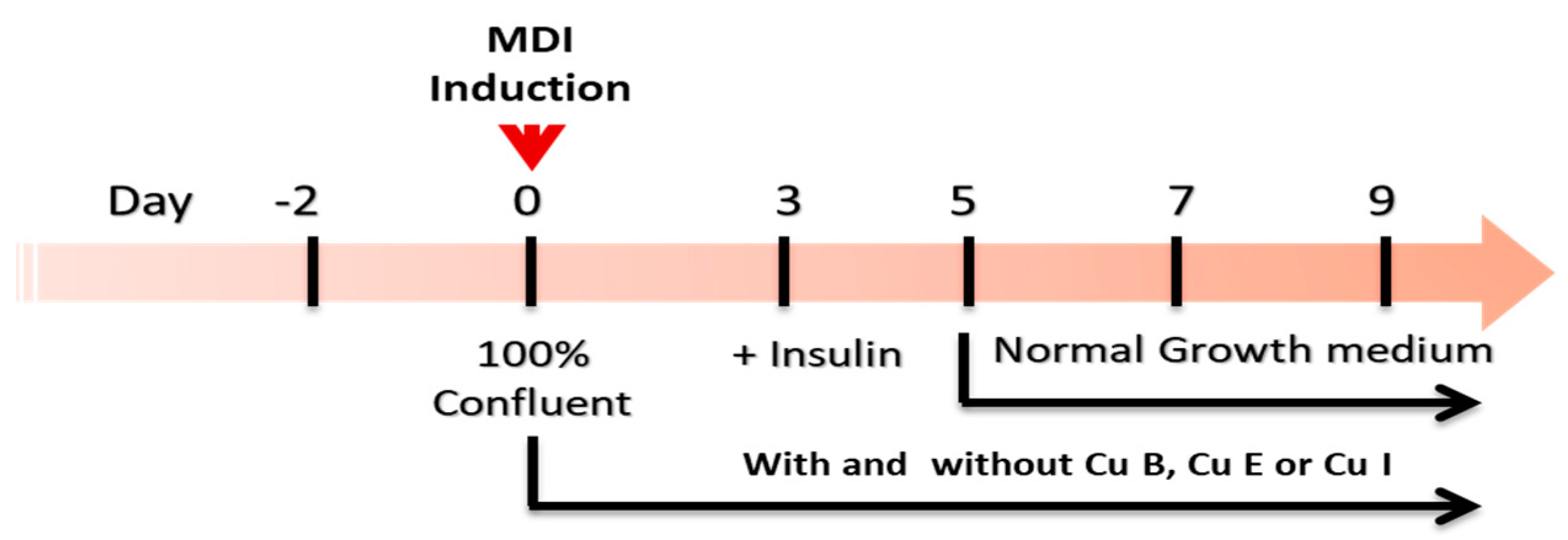 Ijms 23 15362 g006 Ijms 23 15362 g006