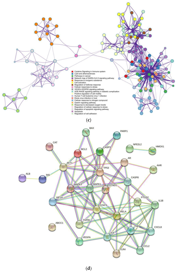 Ijms 23 15385 g004b Ijms 23 15385 g004b