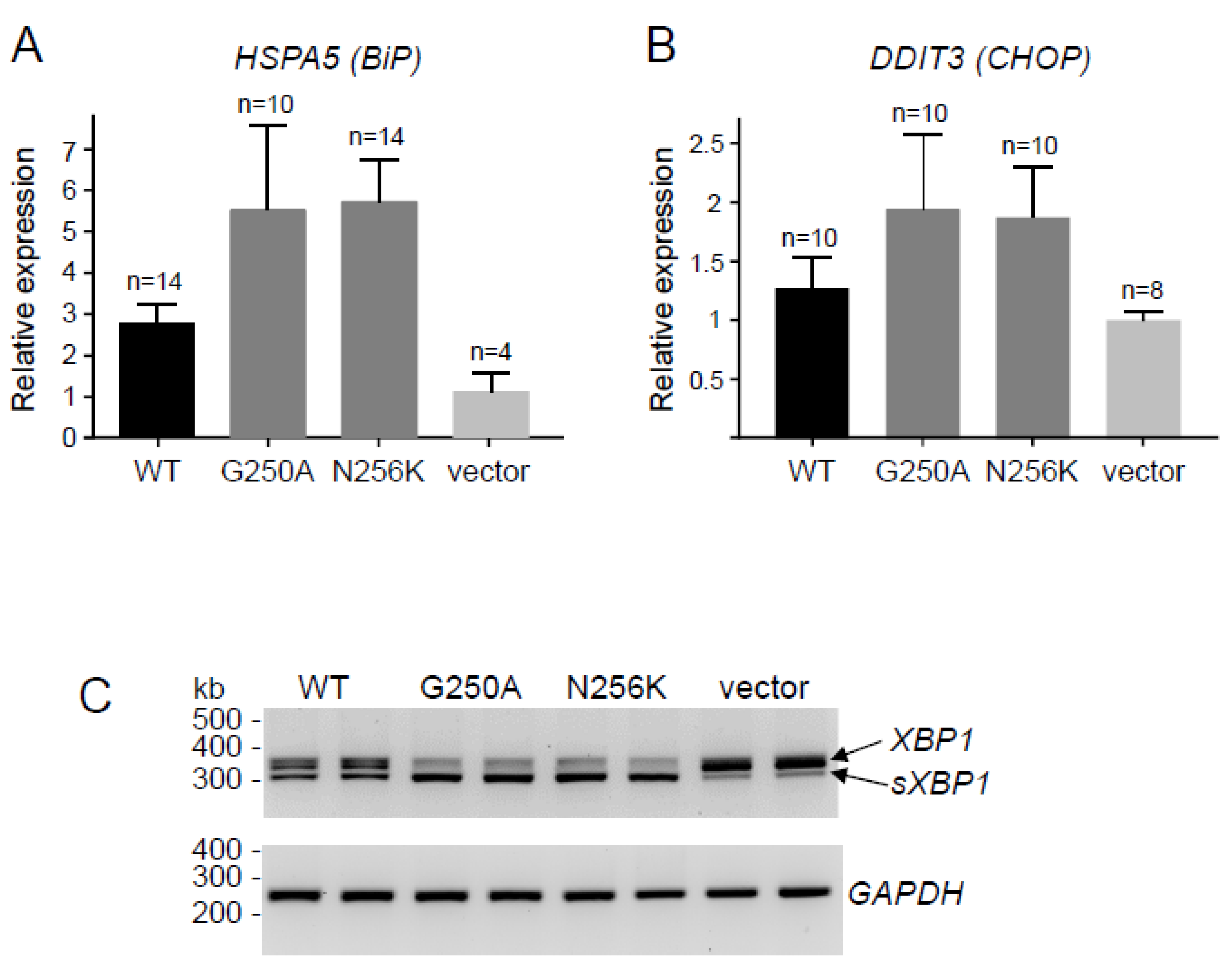 Ijms 23 15463 g002 Ijms 23 15463 g002