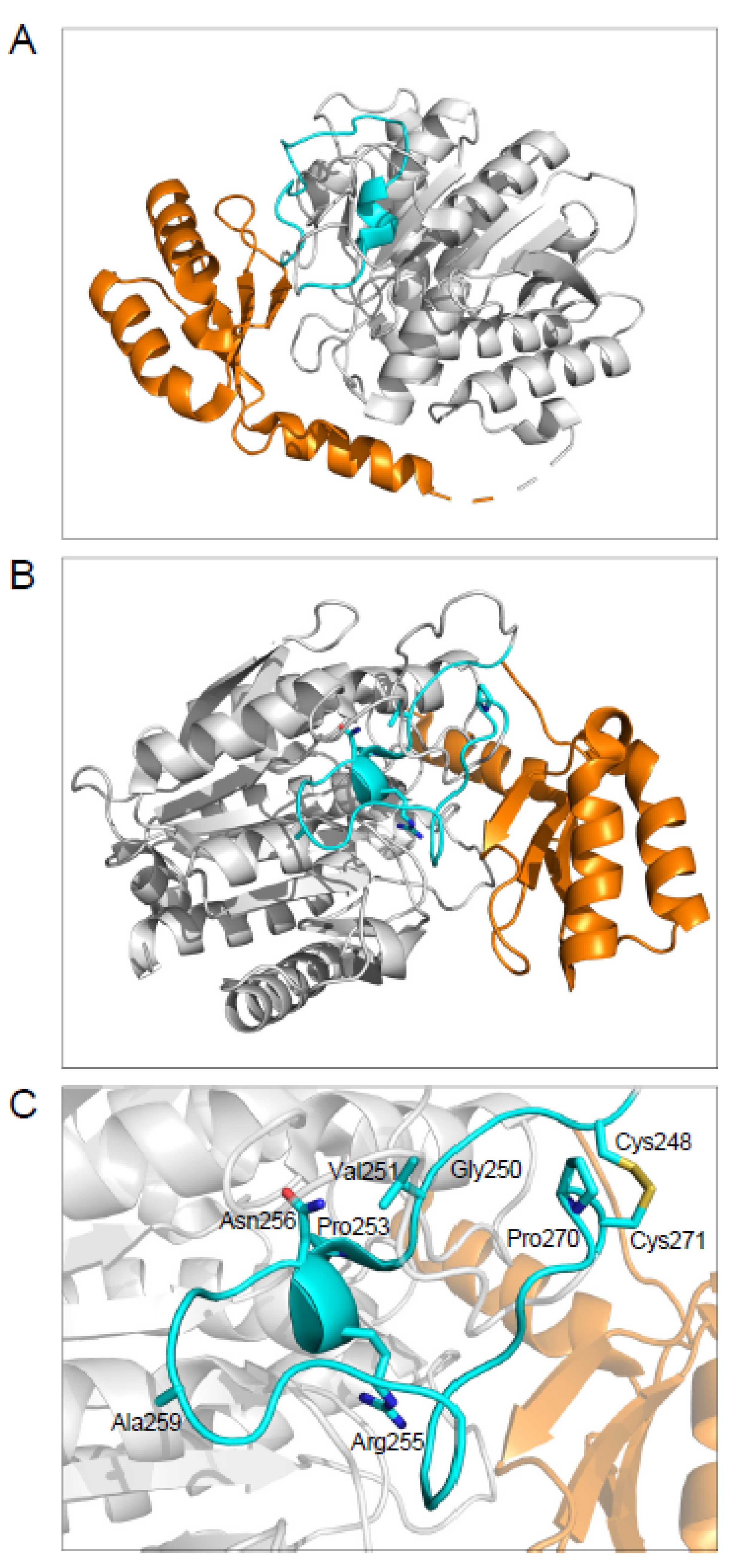 Ijms 23 15463 g003 Ijms 23 15463 g003