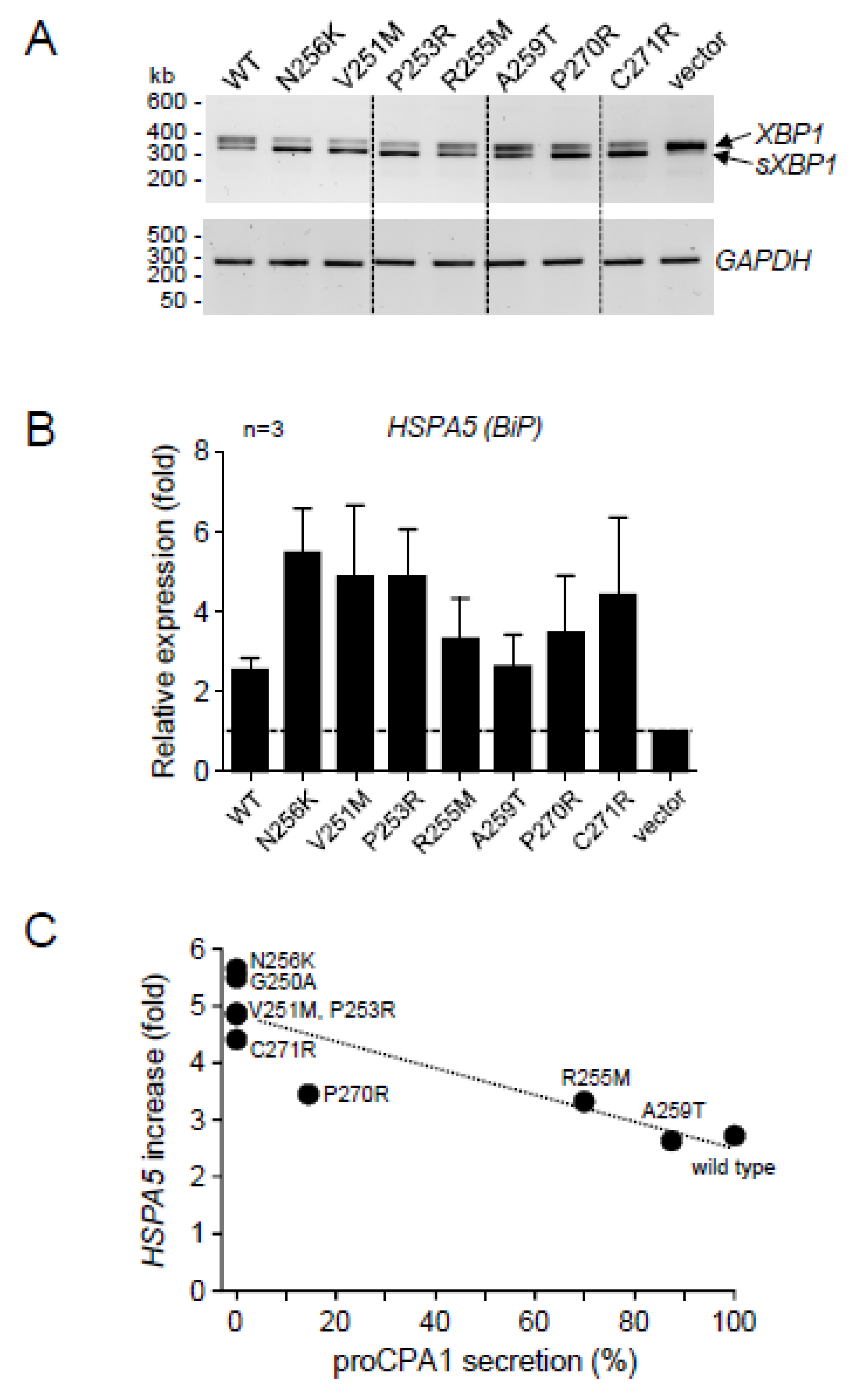 Ijms 23 15463 g005 Ijms 23 15463 g005