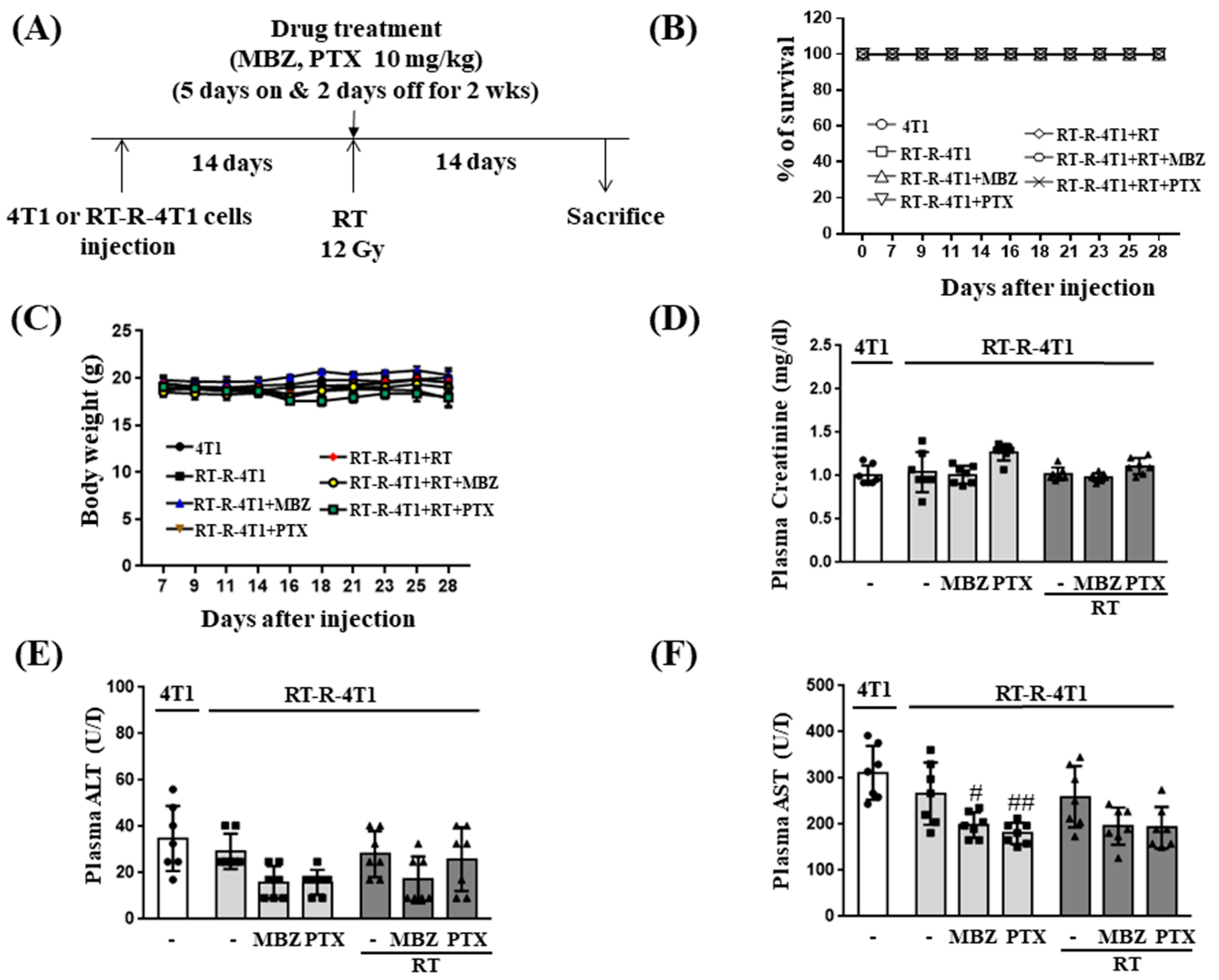Ijms 23 15493 g001 Ijms 23 15493 g001