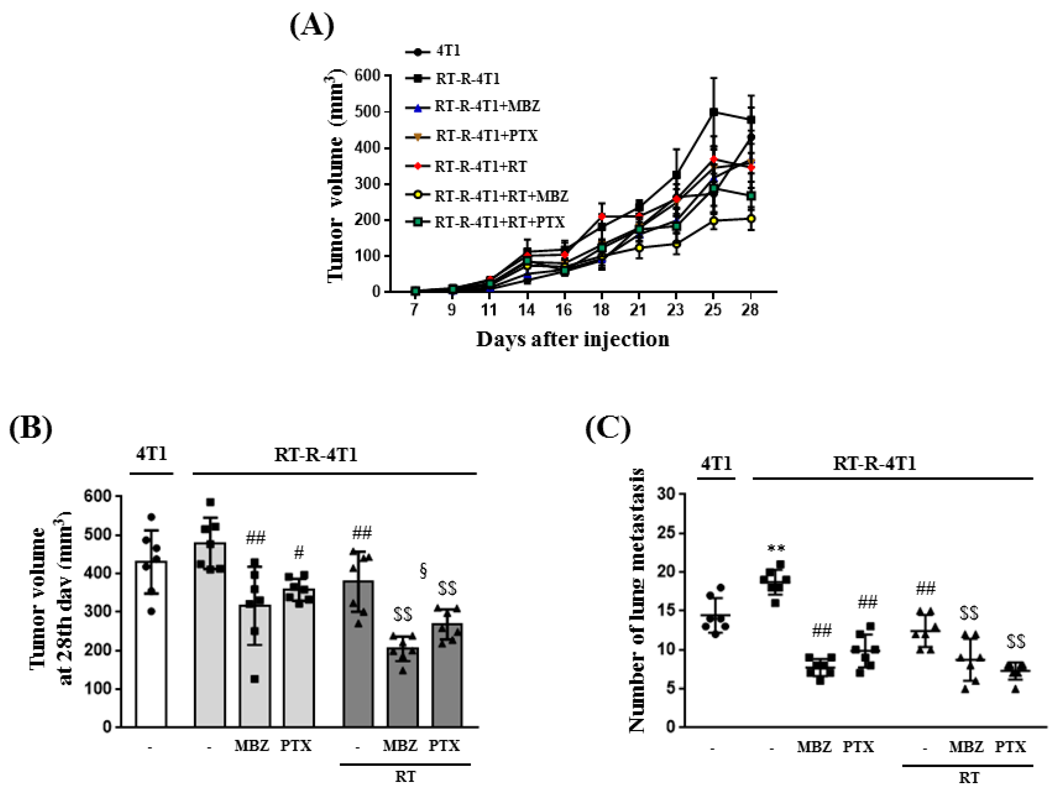 Ijms 23 15493 g002 Ijms 23 15493 g002