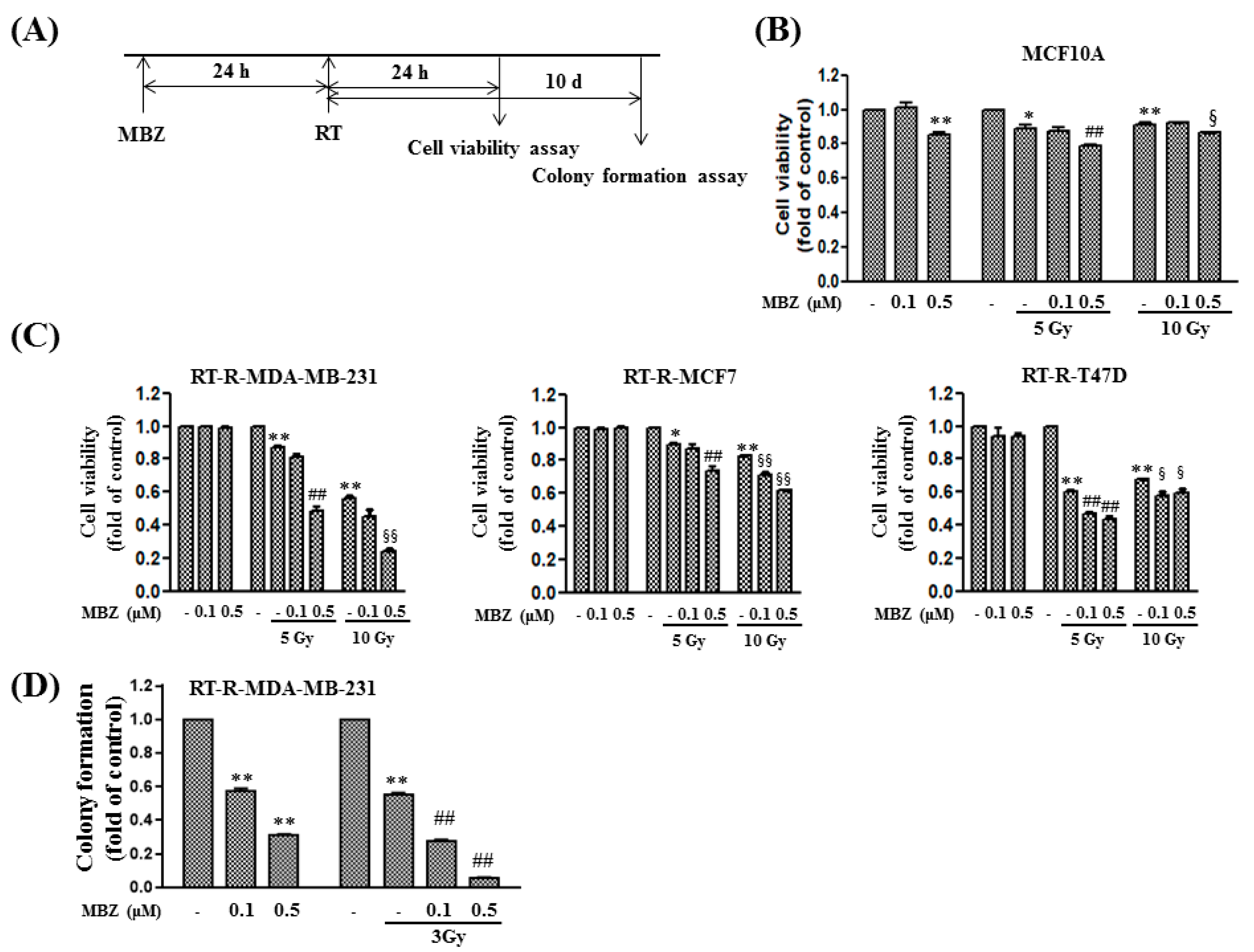 Ijms 23 15493 g003 Ijms 23 15493 g003