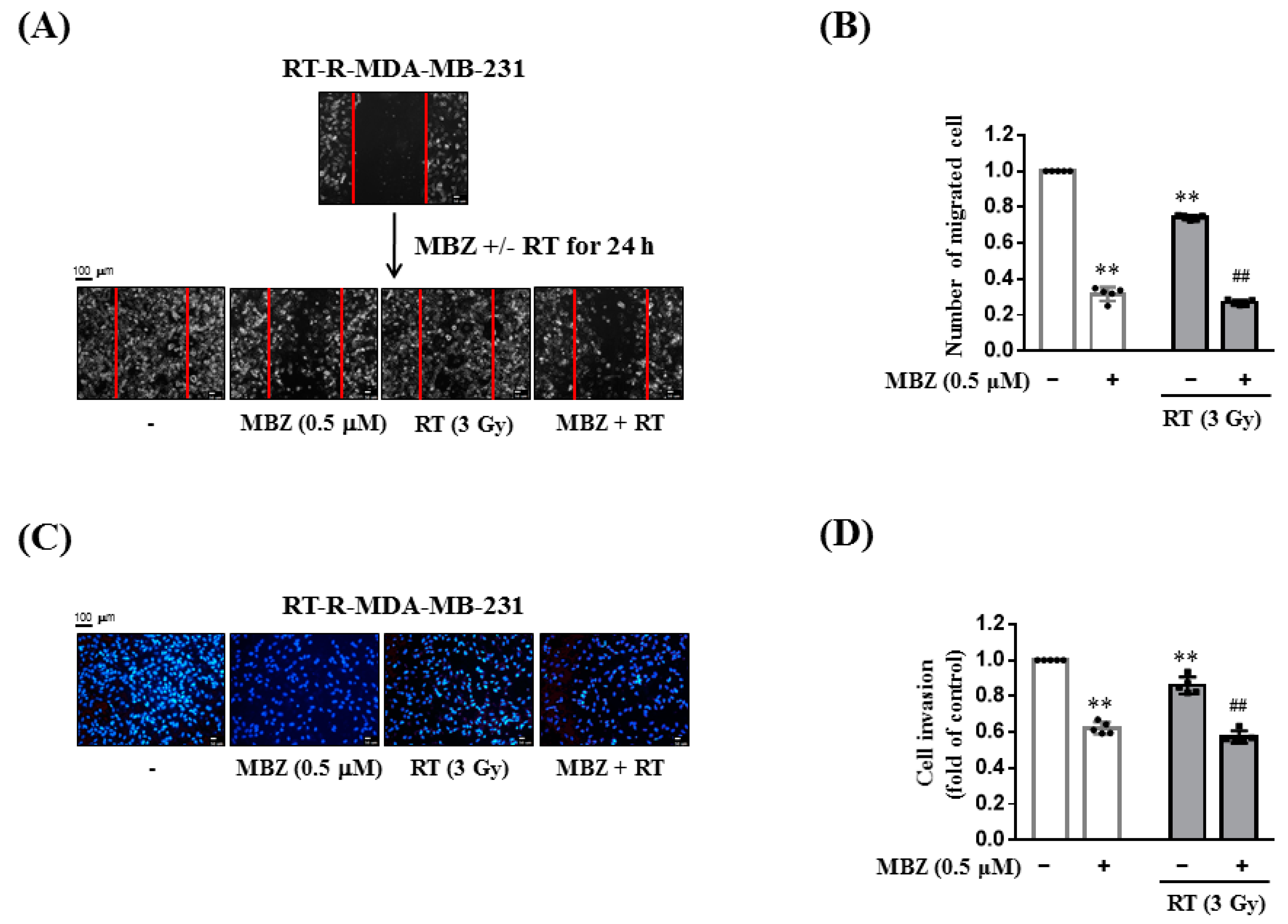 Ijms 23 15493 g004 Ijms 23 15493 g004