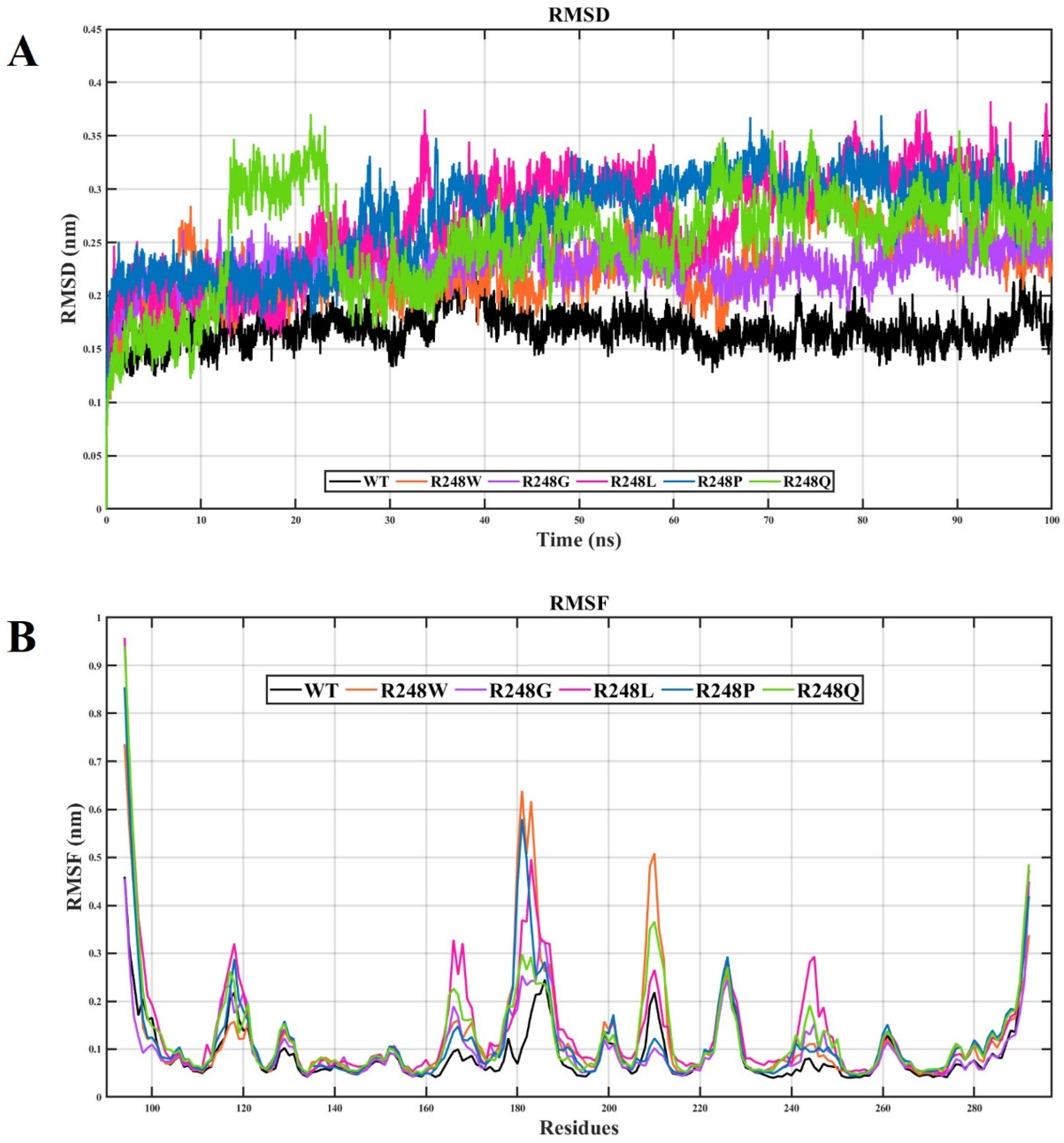 Ijms 23 15499 g002 Ijms 23 15499 g002