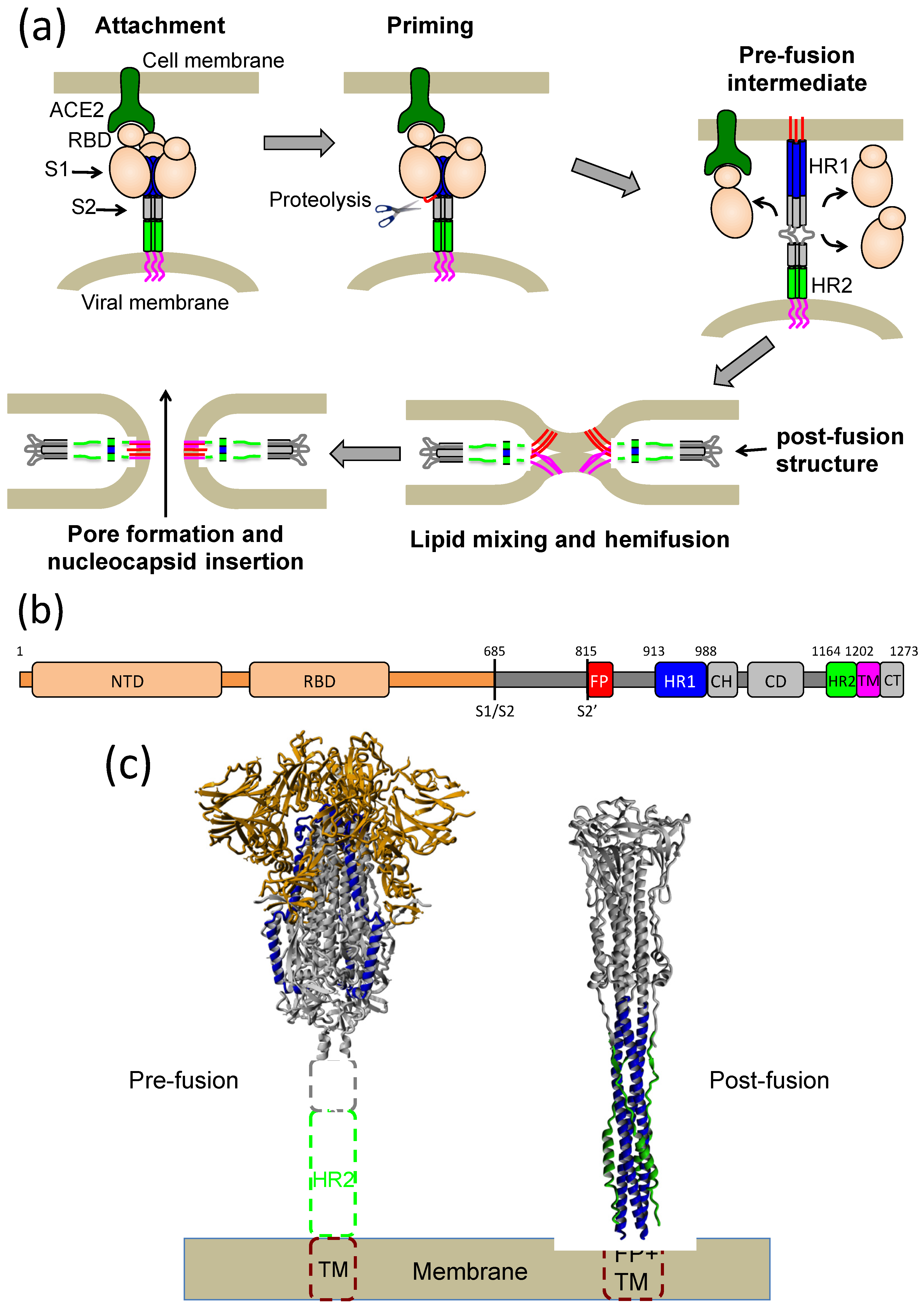 Ijms 23 15511 g001 Ijms 23 15511 g001