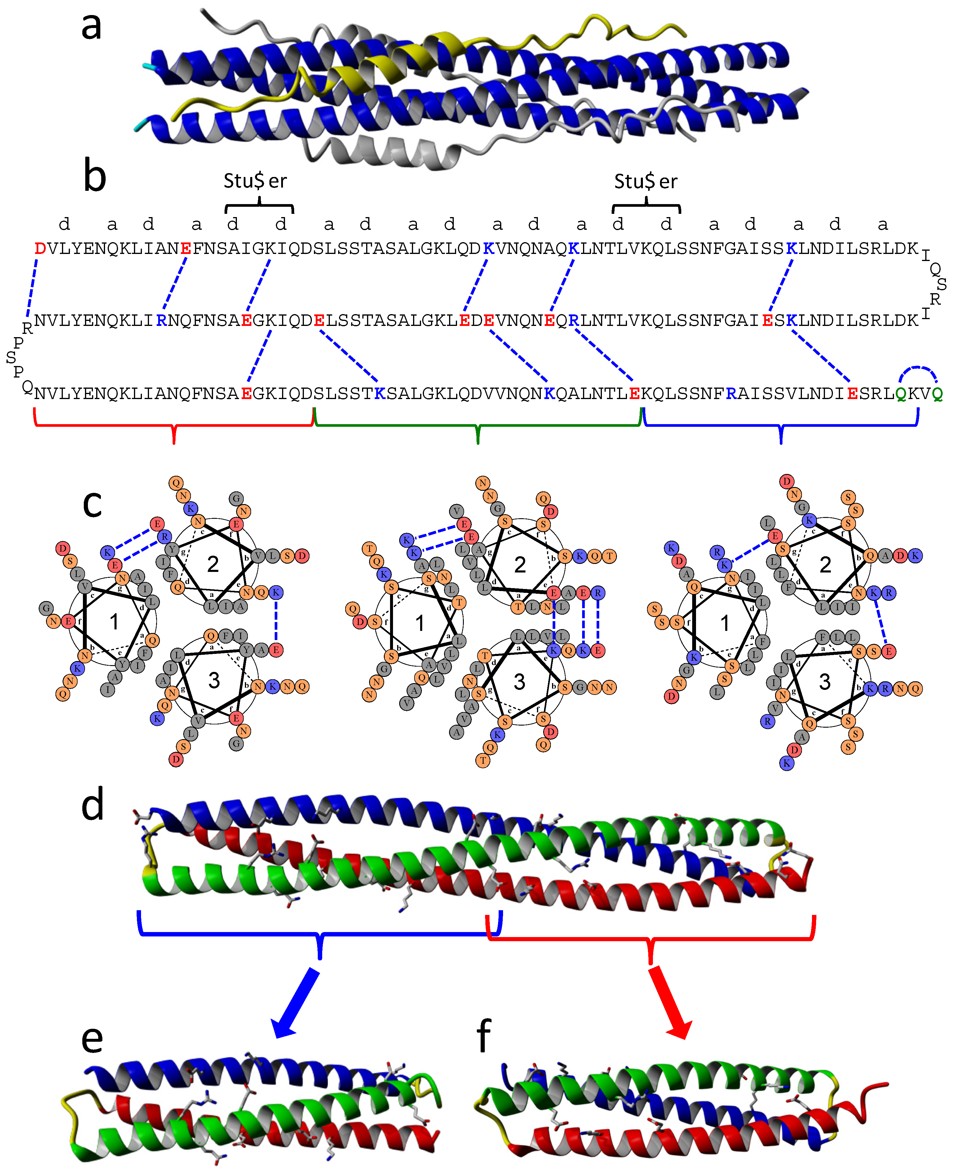 Ijms 23 15511 g002 Ijms 23 15511 g002