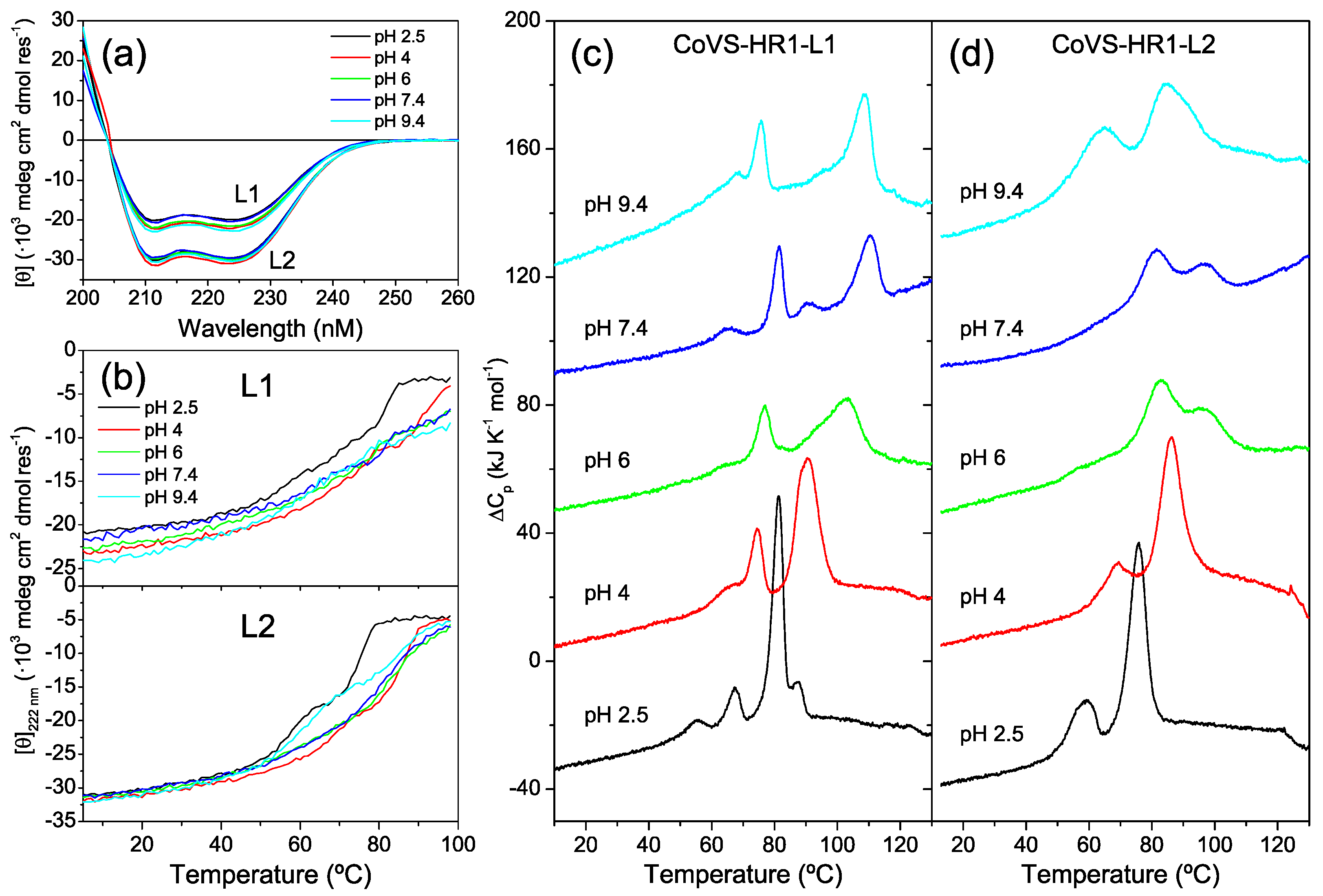 Ijms 23 15511 g003 Ijms 23 15511 g003