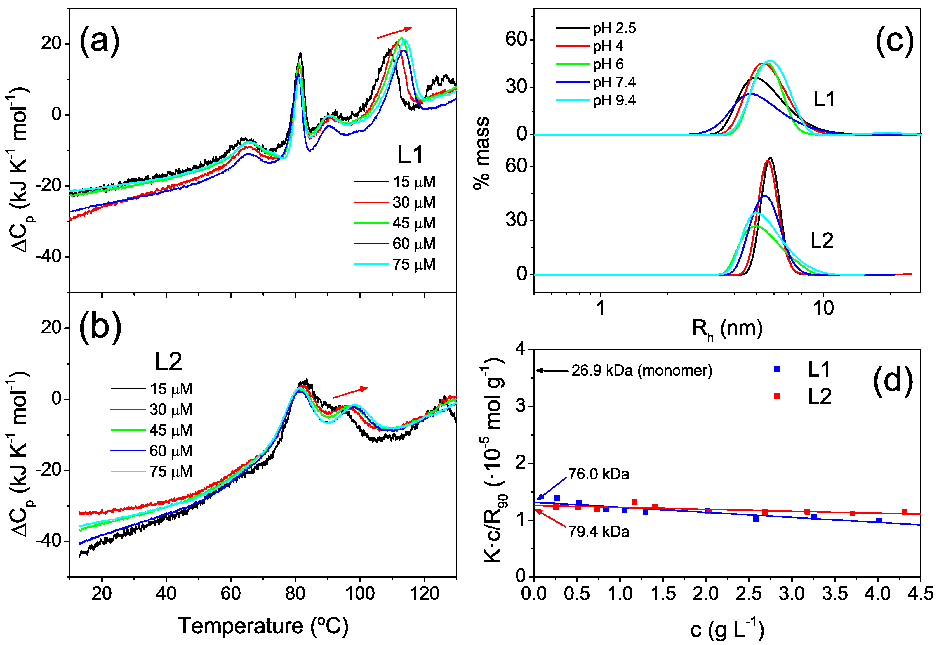 Ijms 23 15511 g004 Ijms 23 15511 g004