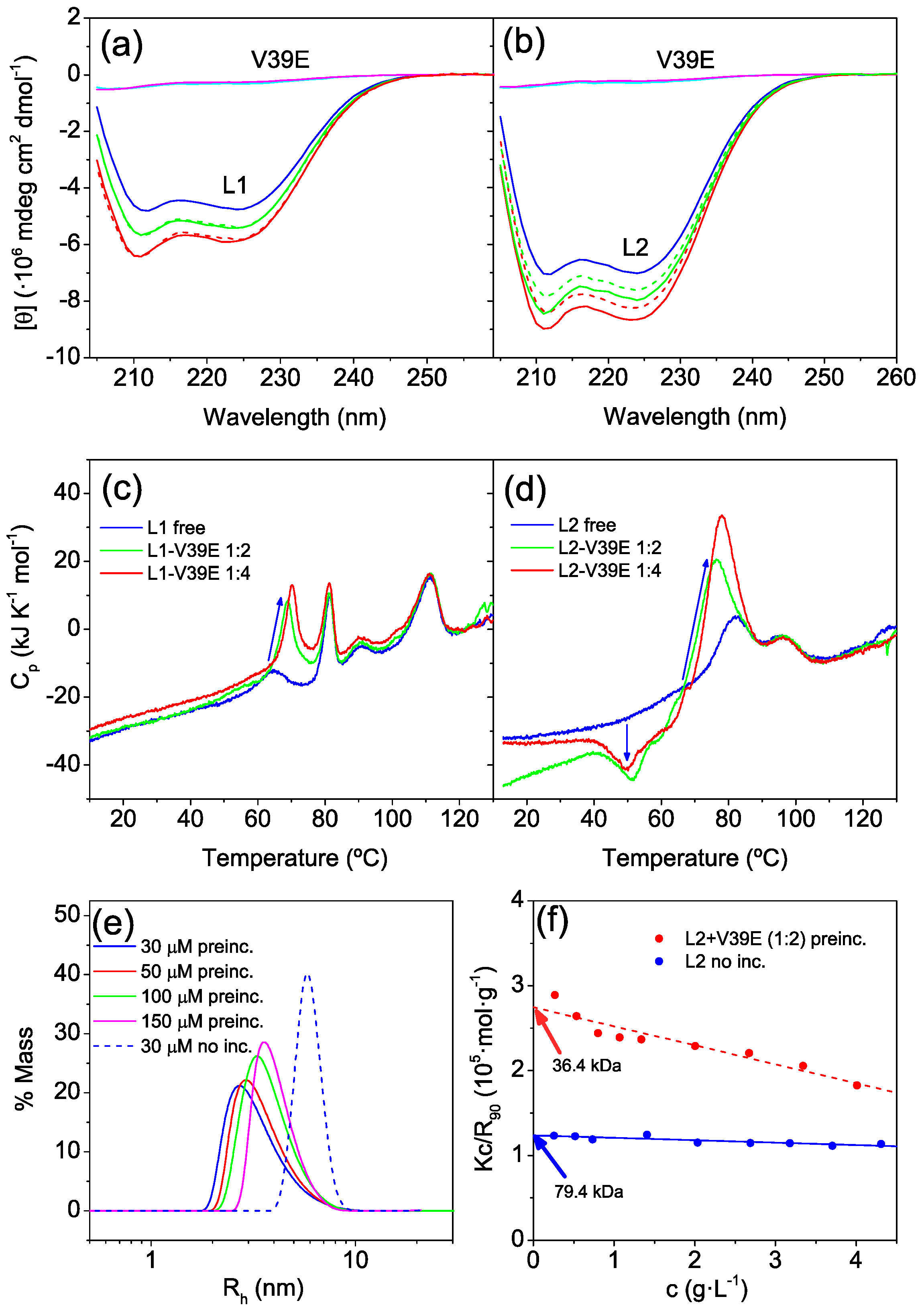 Ijms 23 15511 g005 Ijms 23 15511 g005