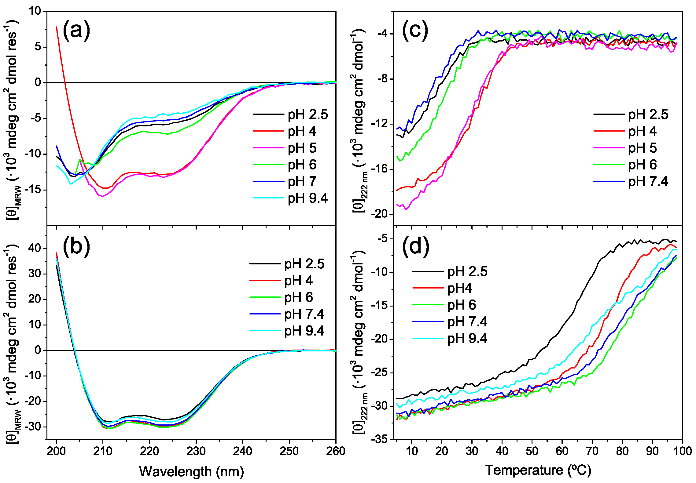 Ijms 23 15511 g007 Ijms 23 15511 g007