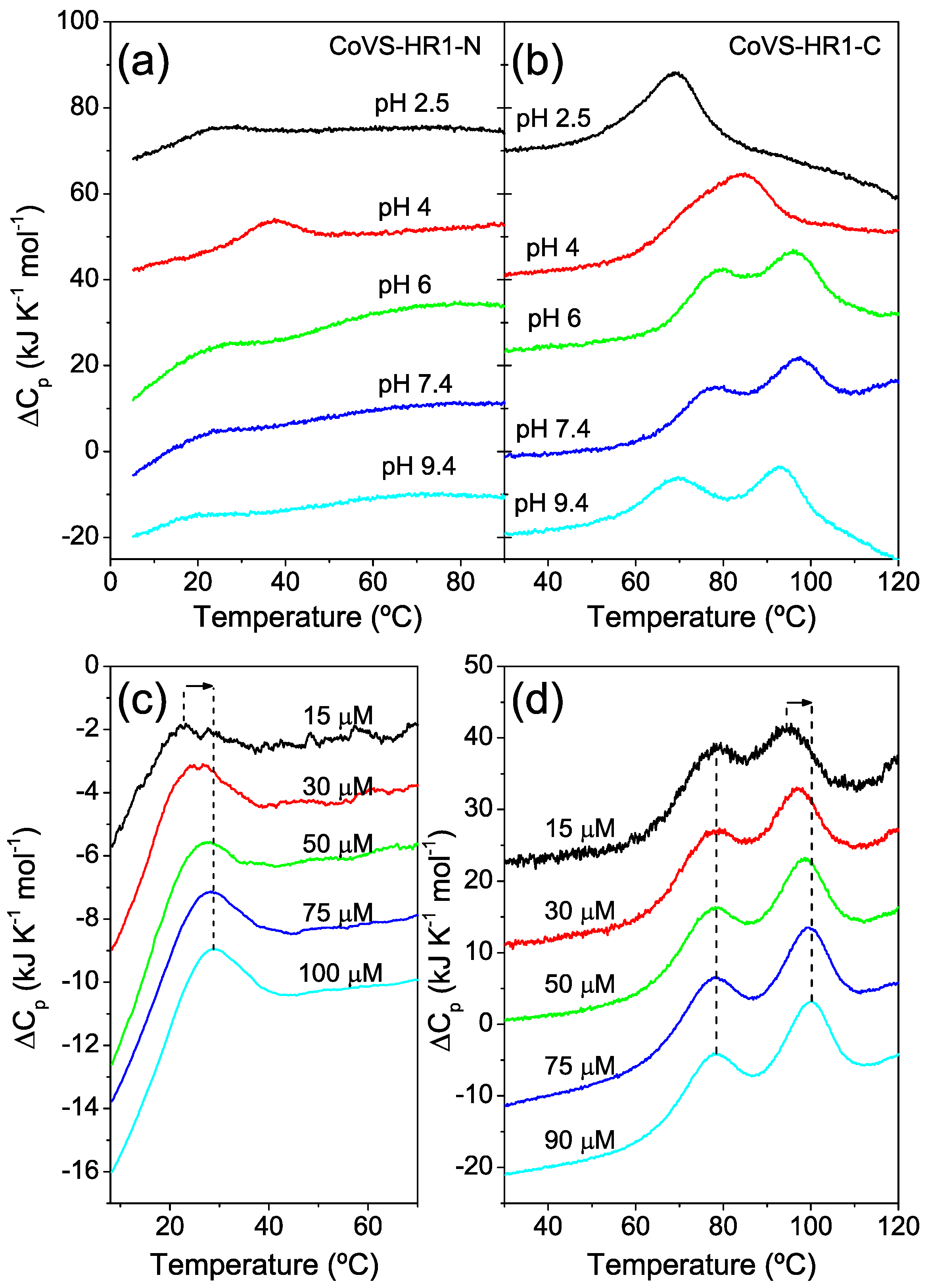 Ijms 23 15511 g008 Ijms 23 15511 g008
