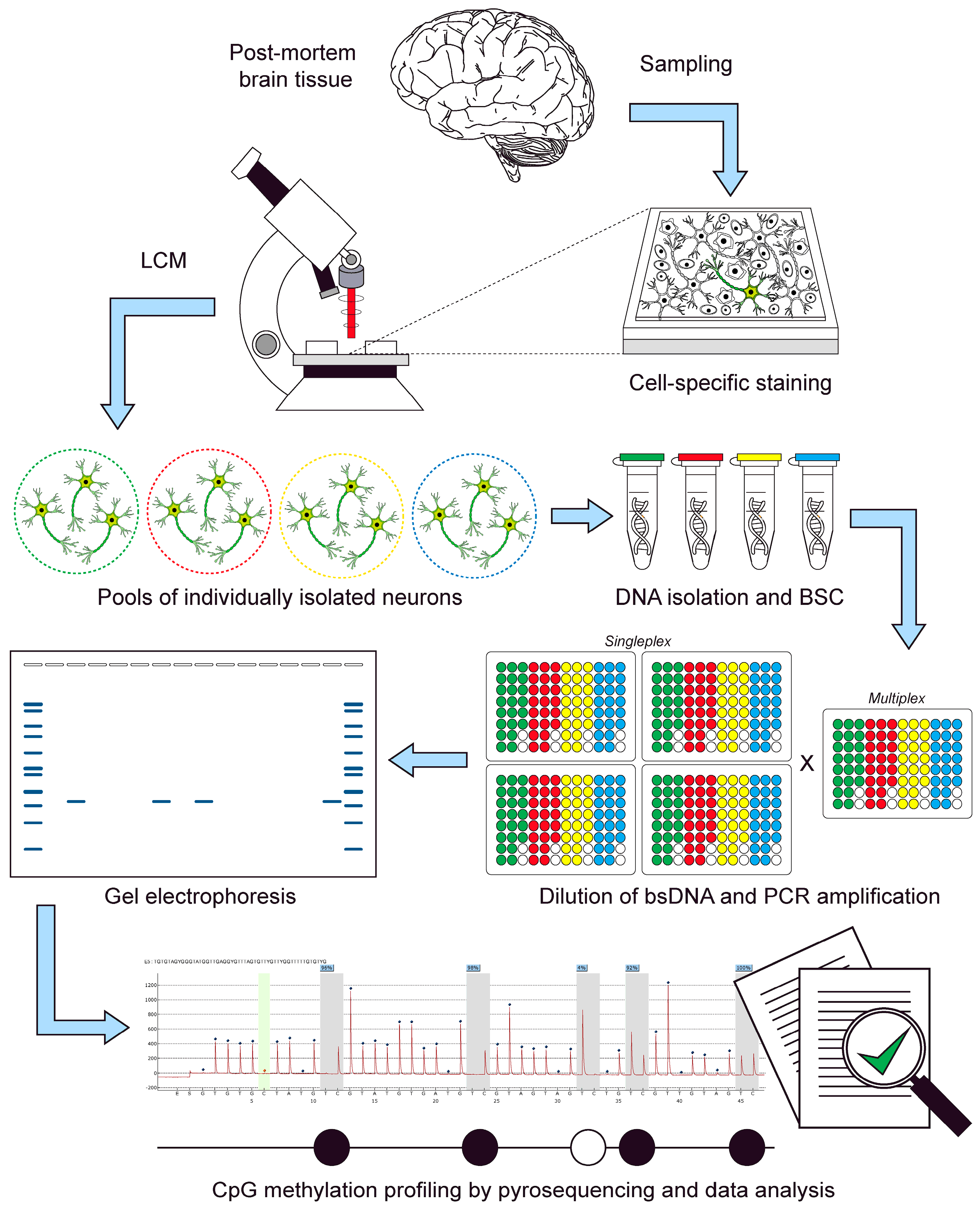 Ijms 23 15571 g001 Ijms 23 15571 g001