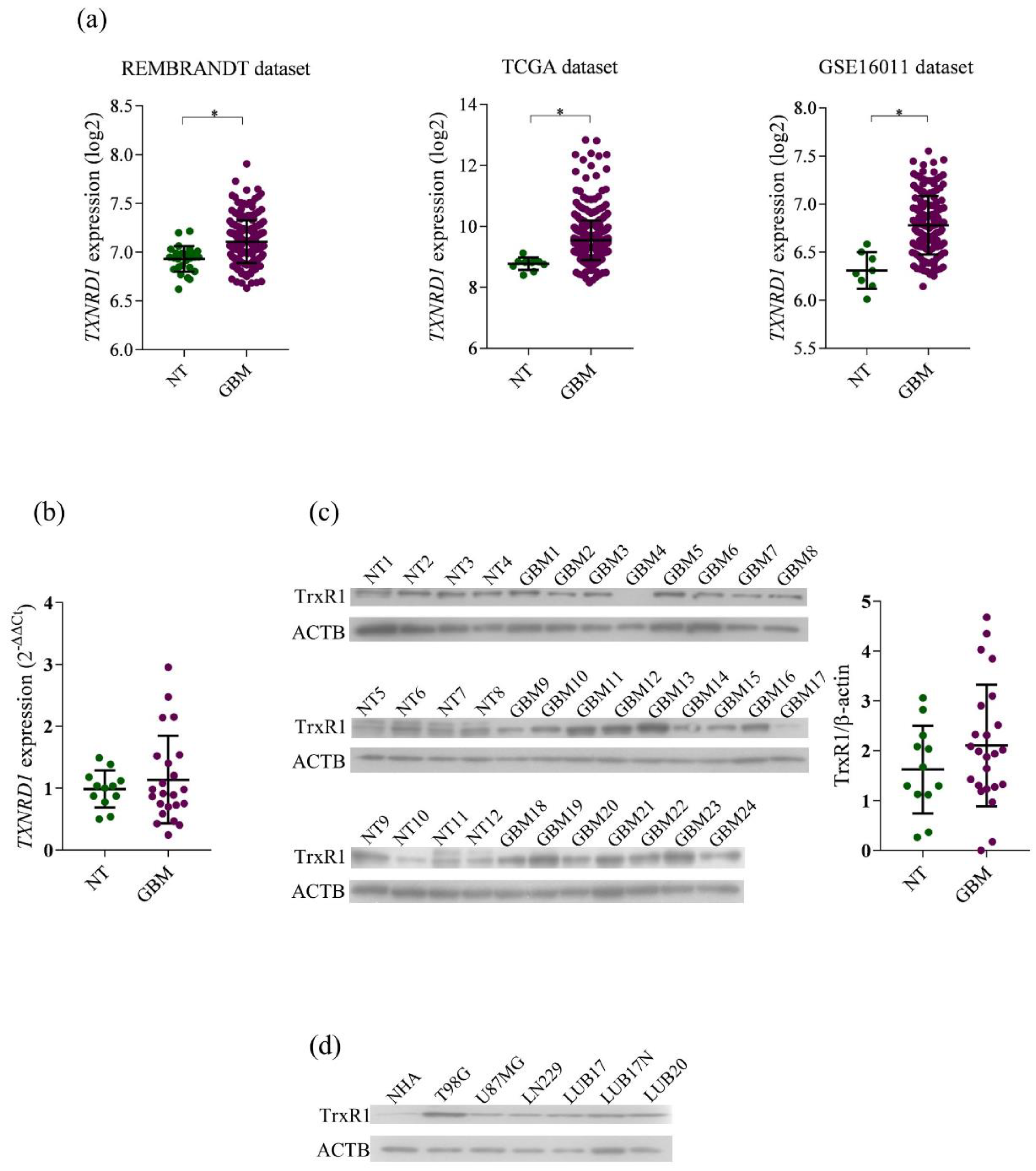 Ijms 23 15712 g001 Ijms 23 15712 g001