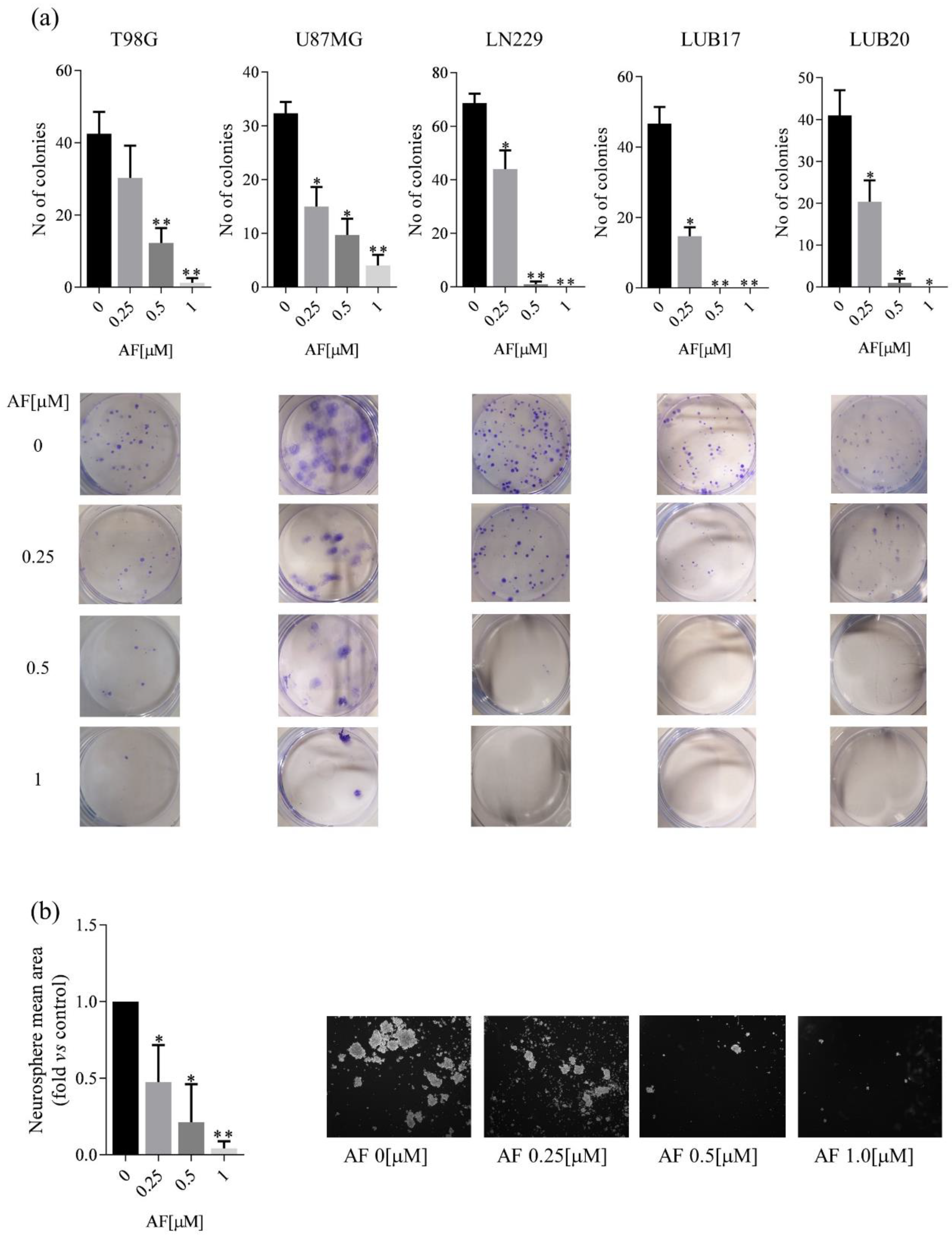 Ijms 23 15712 g003 Ijms 23 15712 g003