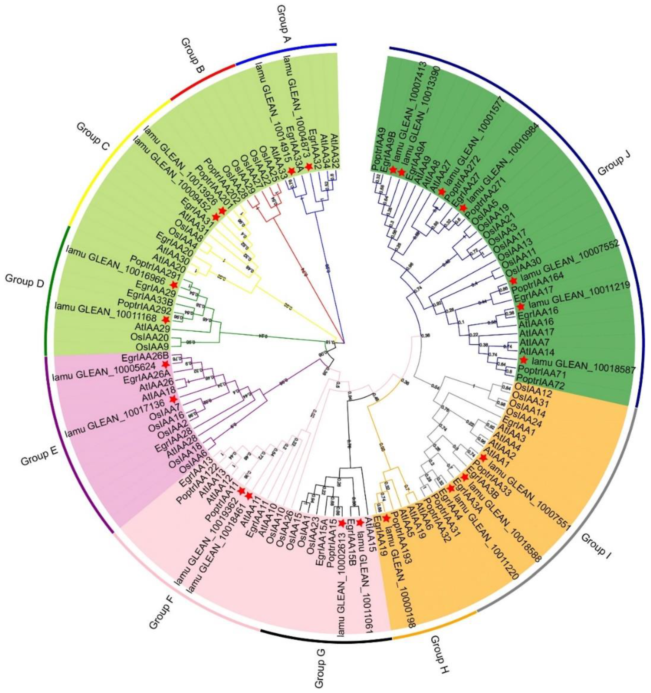 Ijms 23 15729 g003 Ijms 23 15729 g003