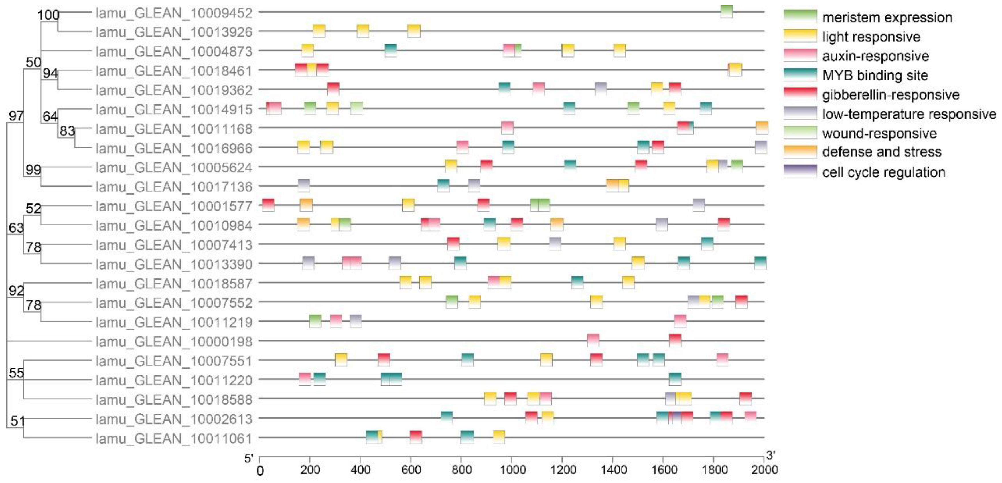 Ijms 23 15729 g004 Ijms 23 15729 g004