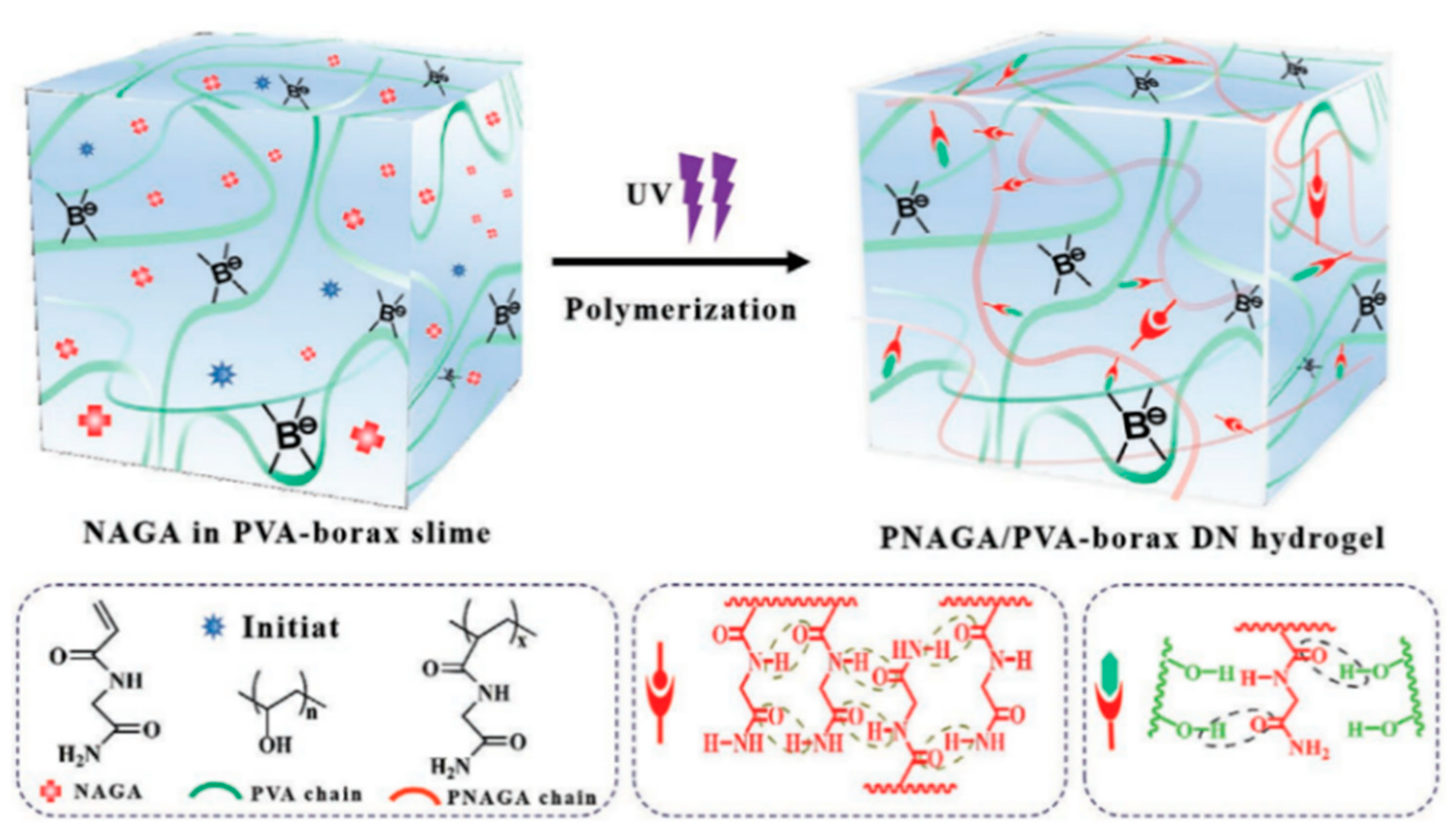 Ijms 23 15757 g005 Ijms 23 15757 g005