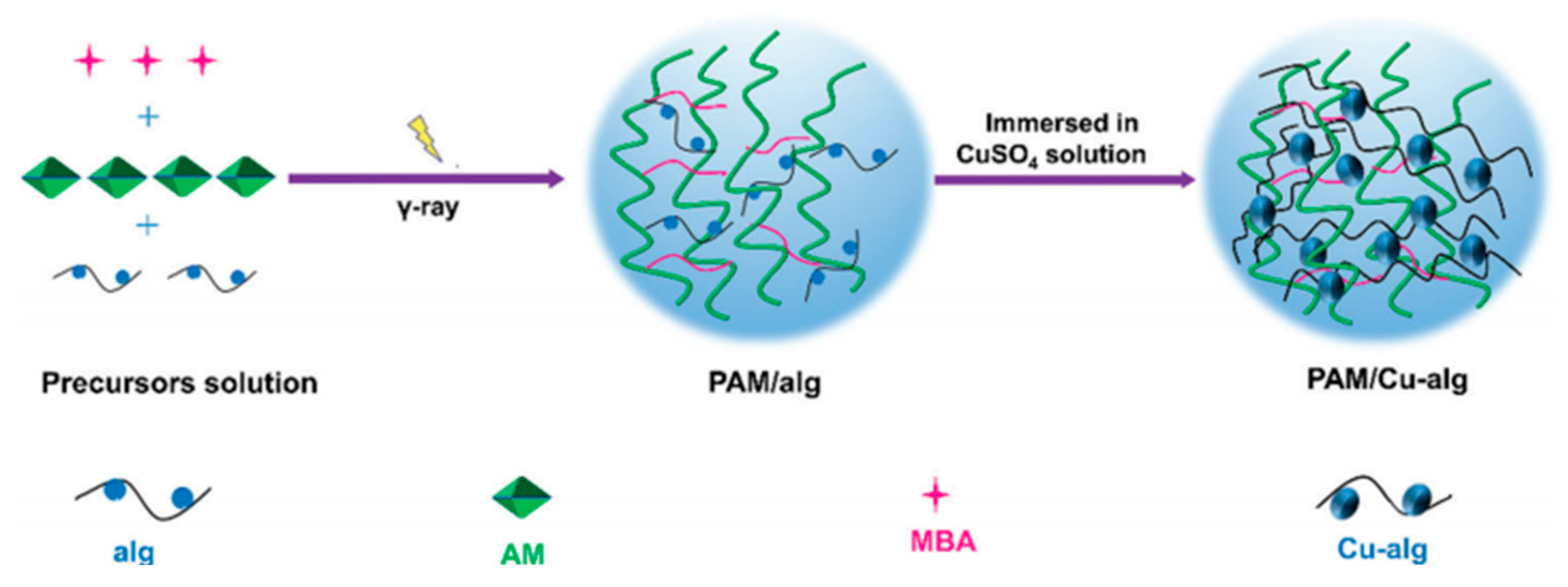 Ijms 23 15757 g006 Ijms 23 15757 g006