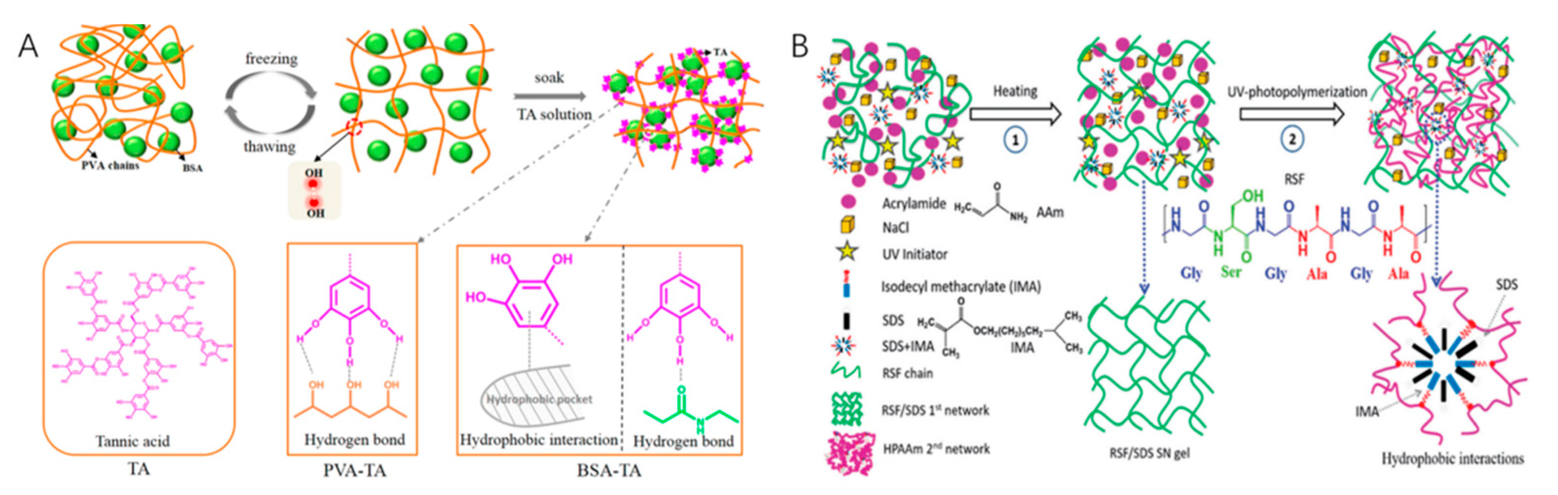 Ijms 23 15757 g007 Ijms 23 15757 g007