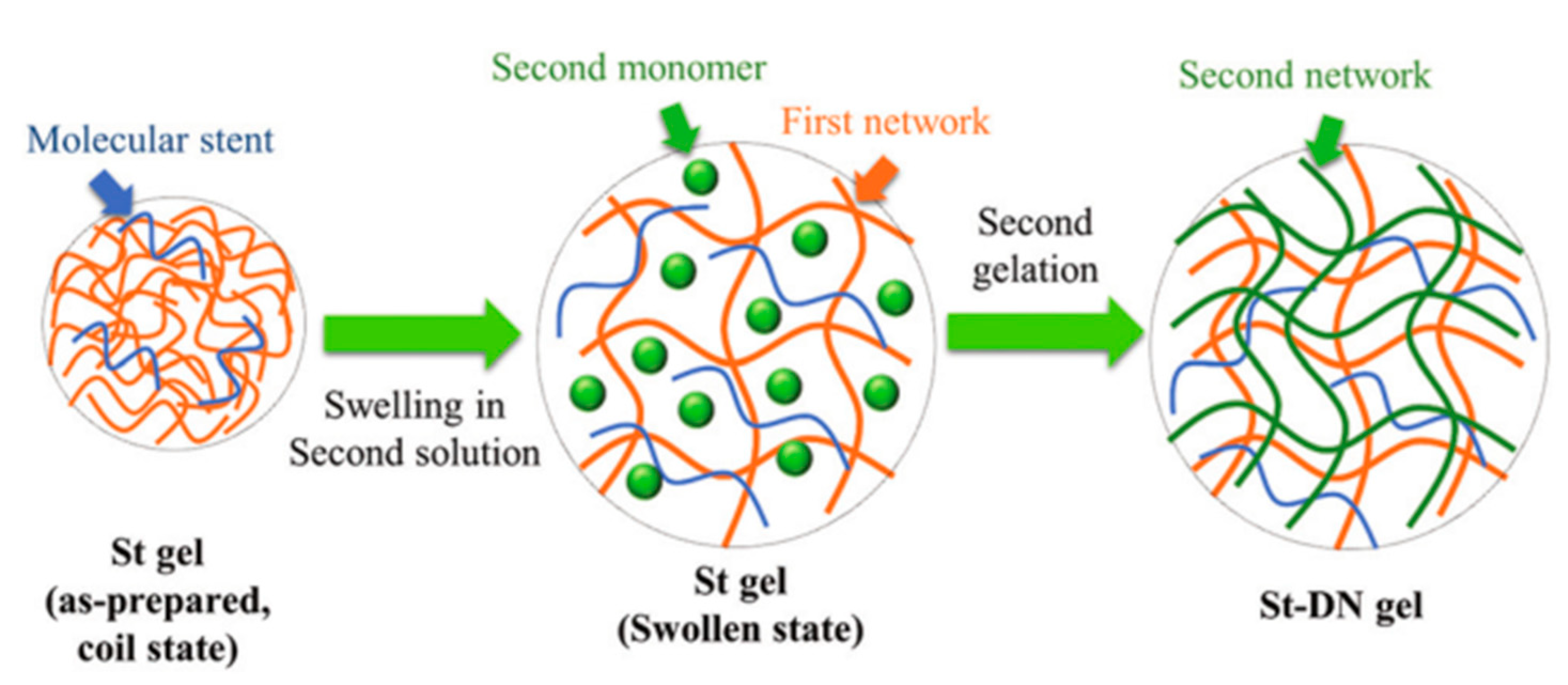 Ijms 23 15757 g008 Ijms 23 15757 g008