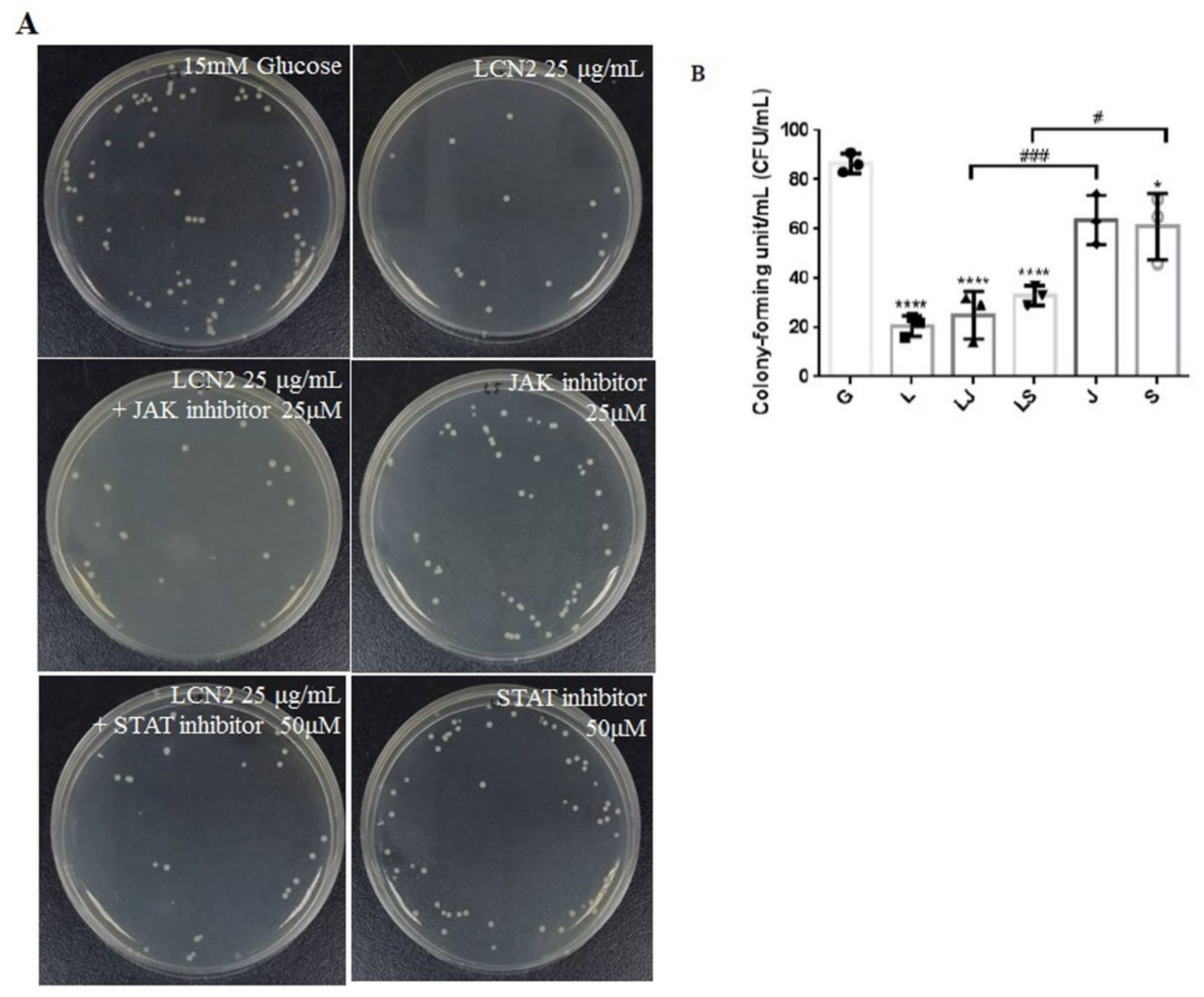 Ijms 23 15763 g007 Ijms 23 15763 g007