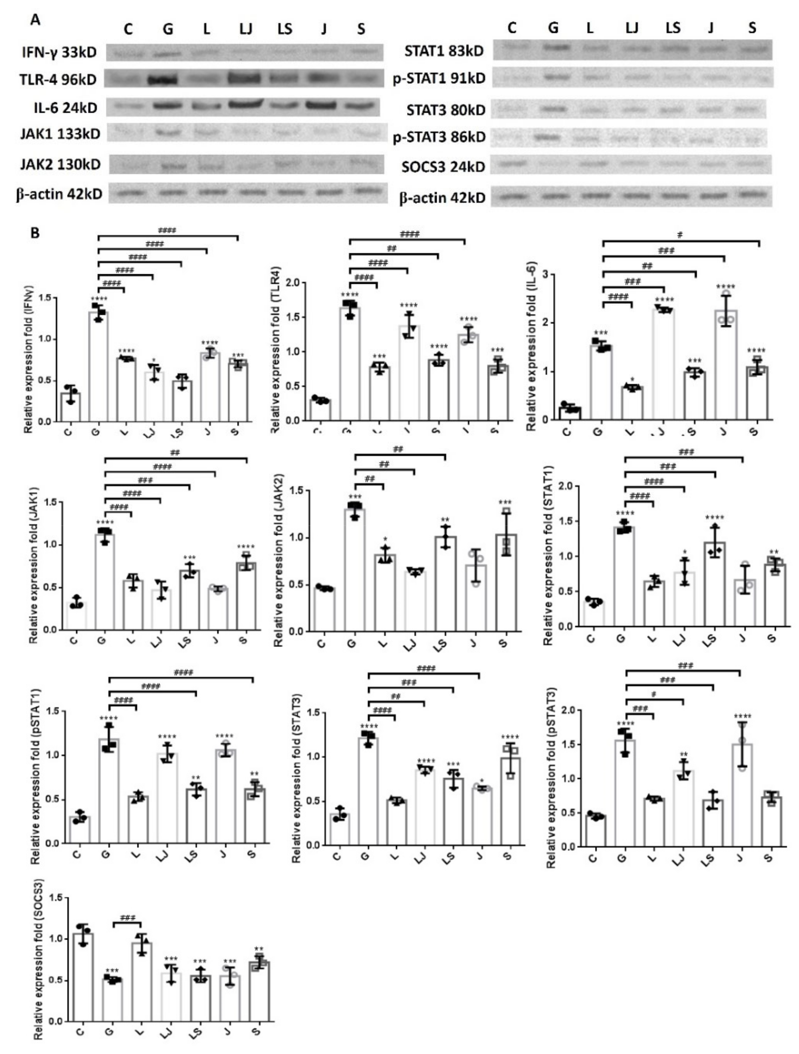 Ijms 23 15763 g008 Ijms 23 15763 g008