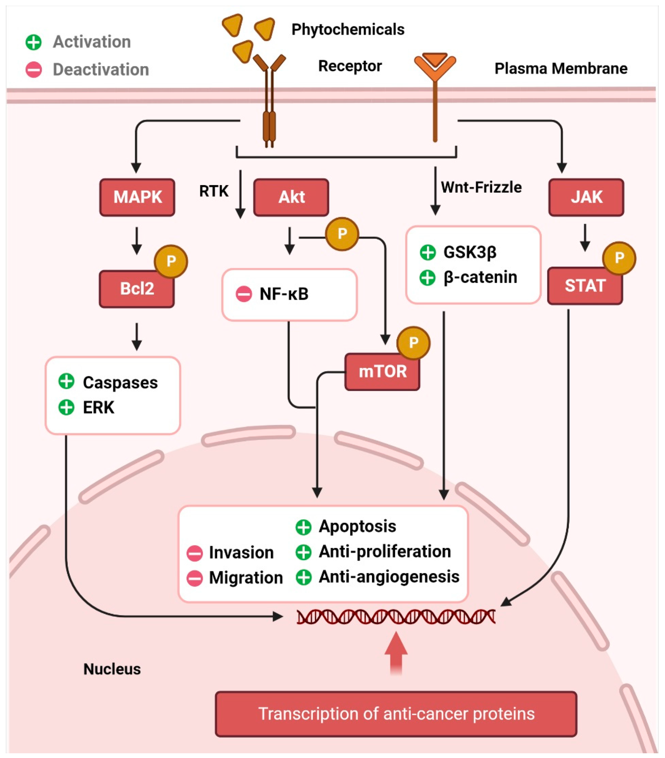 Ijms 23 15765 g001 Ijms 23 15765 g001
