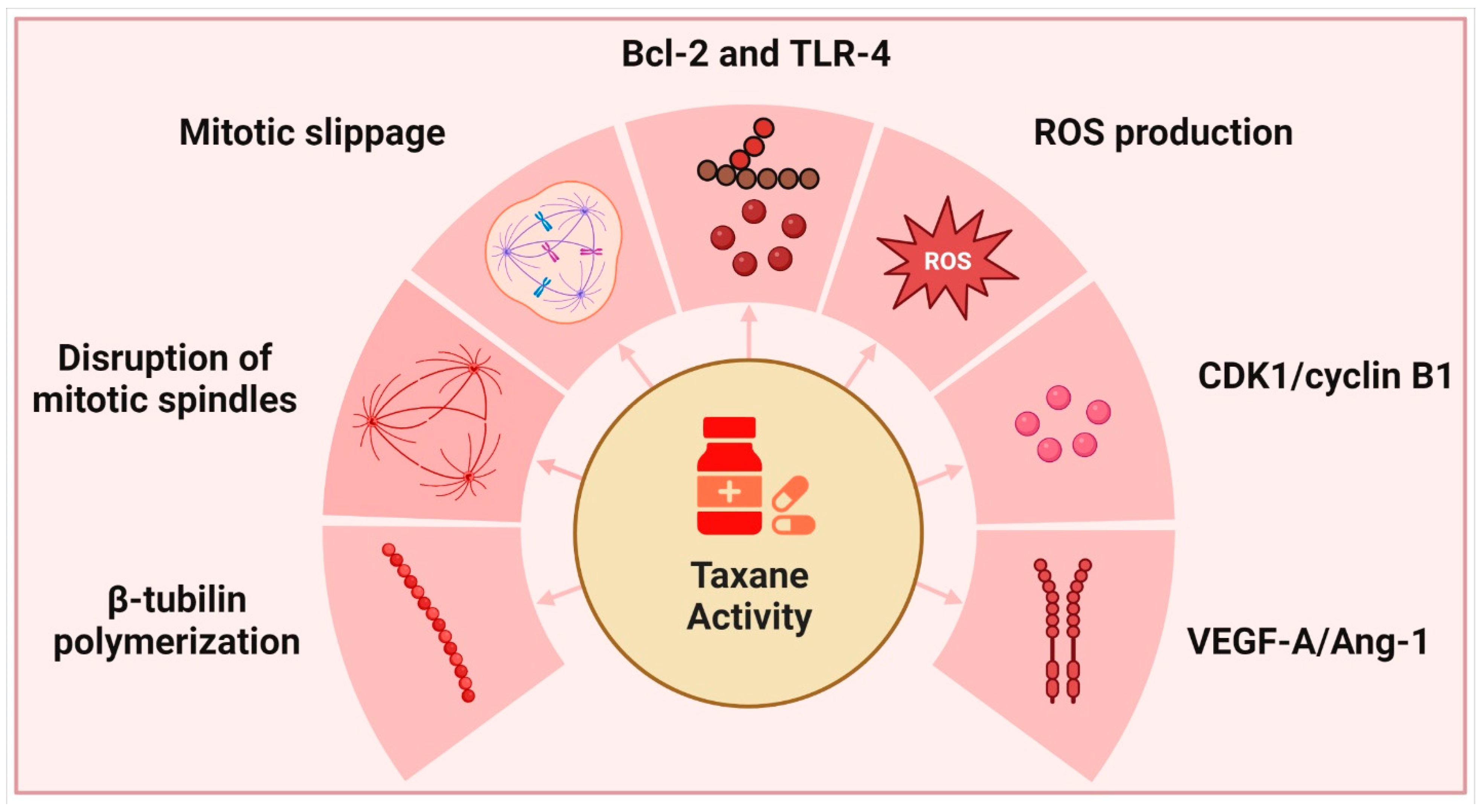 Ijms 23 15765 g002 Ijms 23 15765 g002